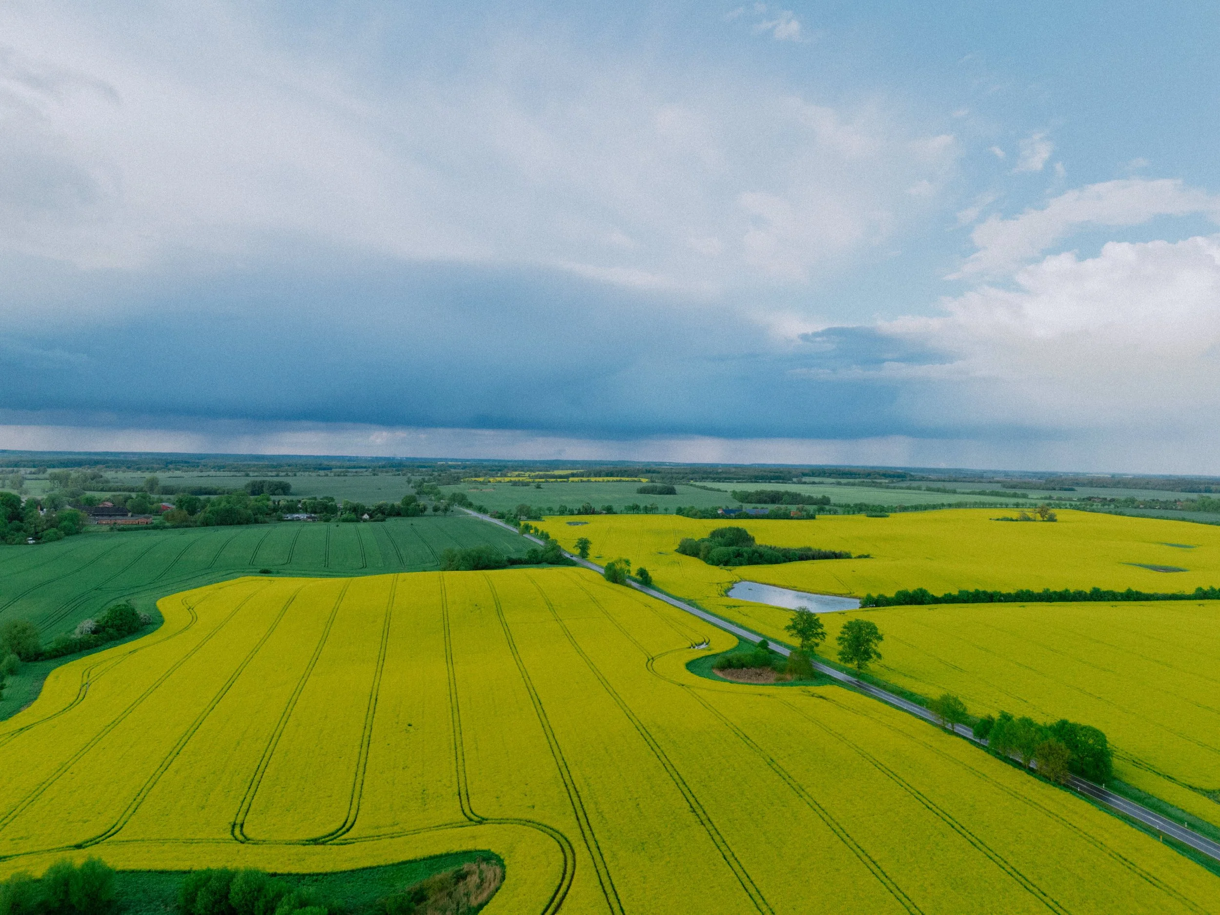 DJI_20260514195039_0166_D.jpg