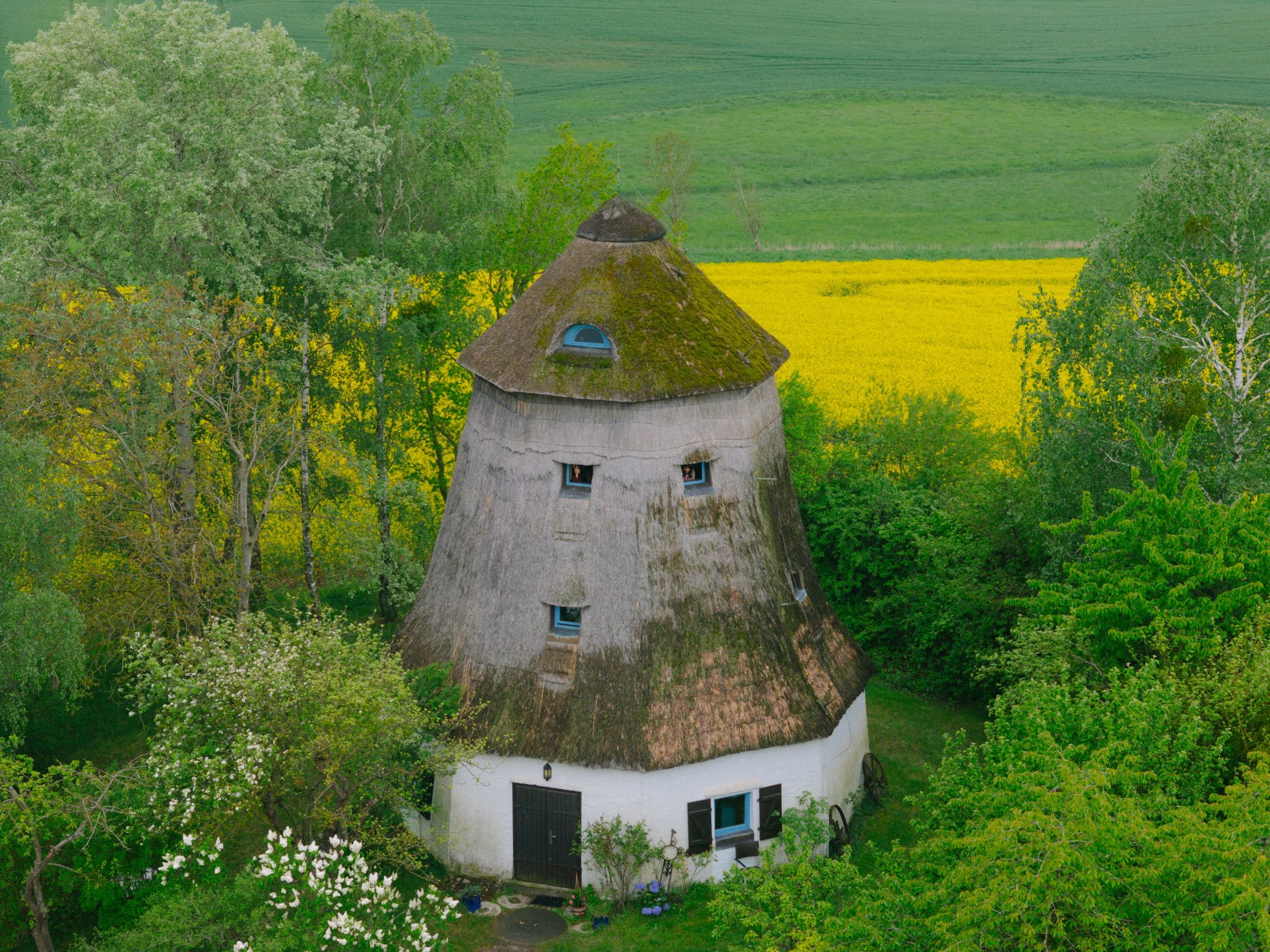 DJI_20260514080958_0127_D.jpg