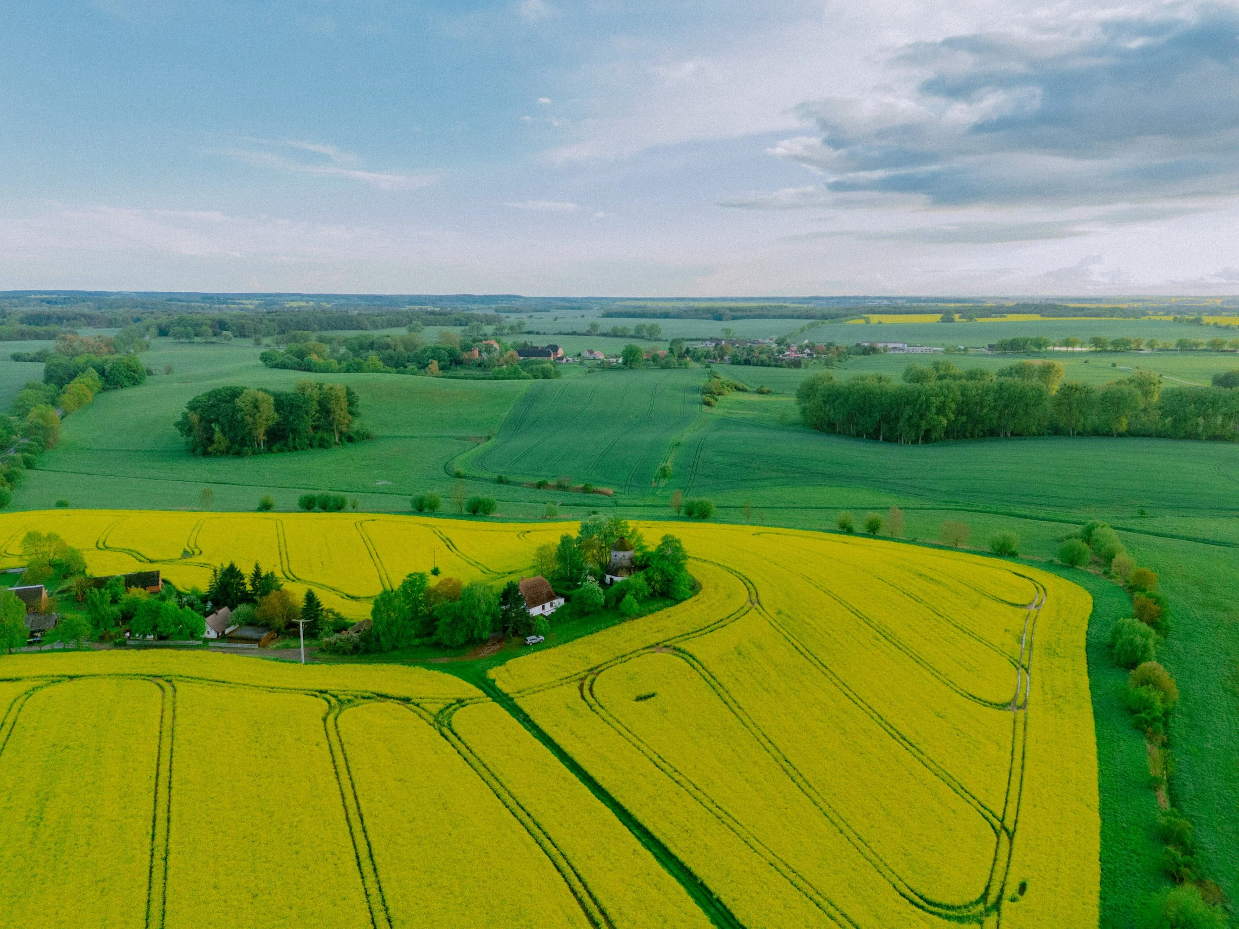 DJI_20260514195105_0168_D.jpg