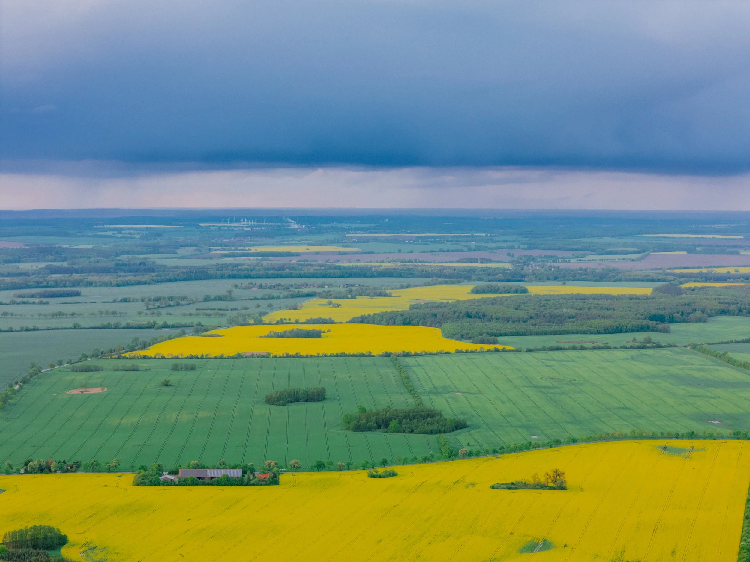 DJI_20260514195350_0174_D.jpg