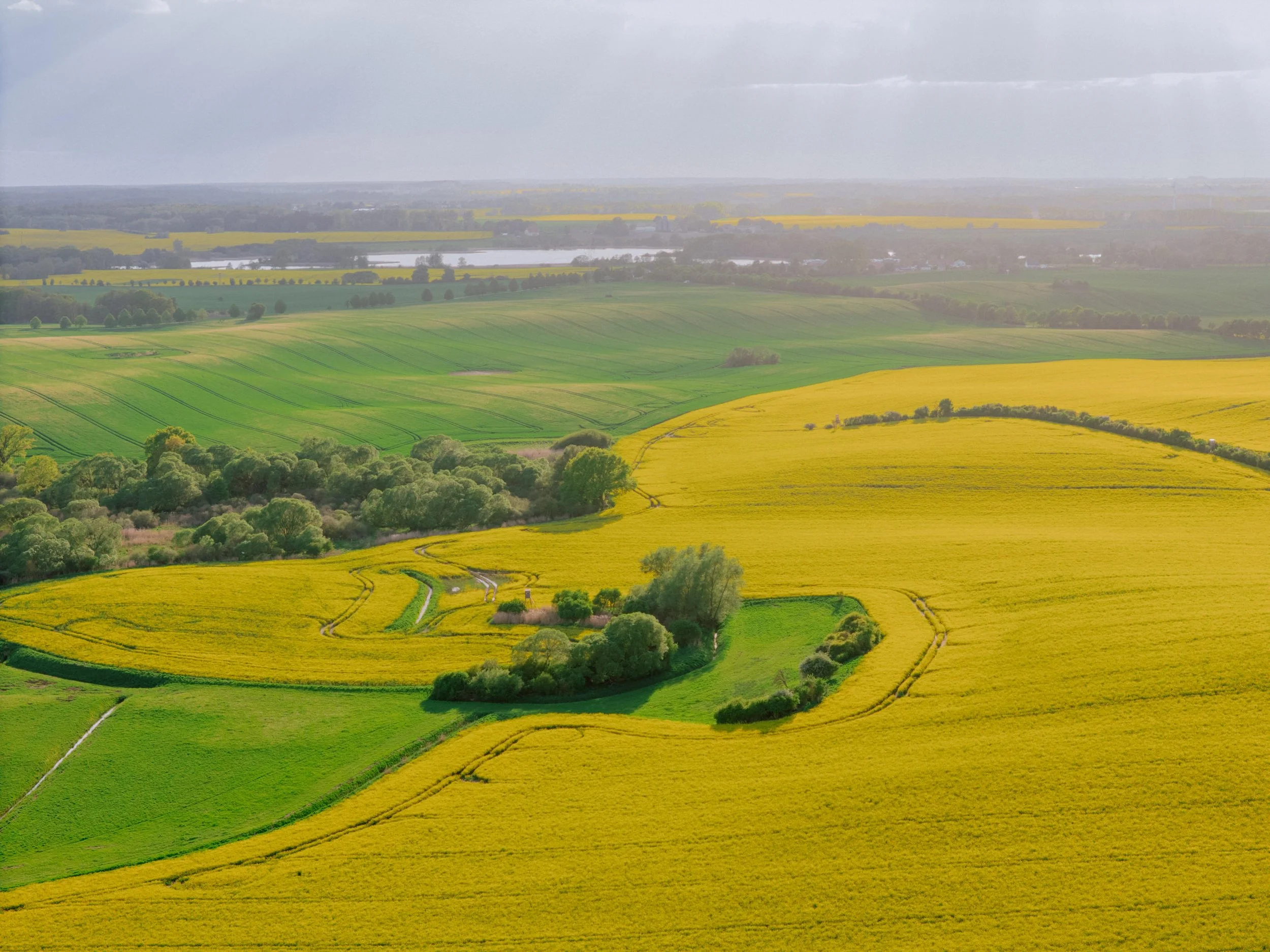 DJI_20260516191303_0258_D.jpg