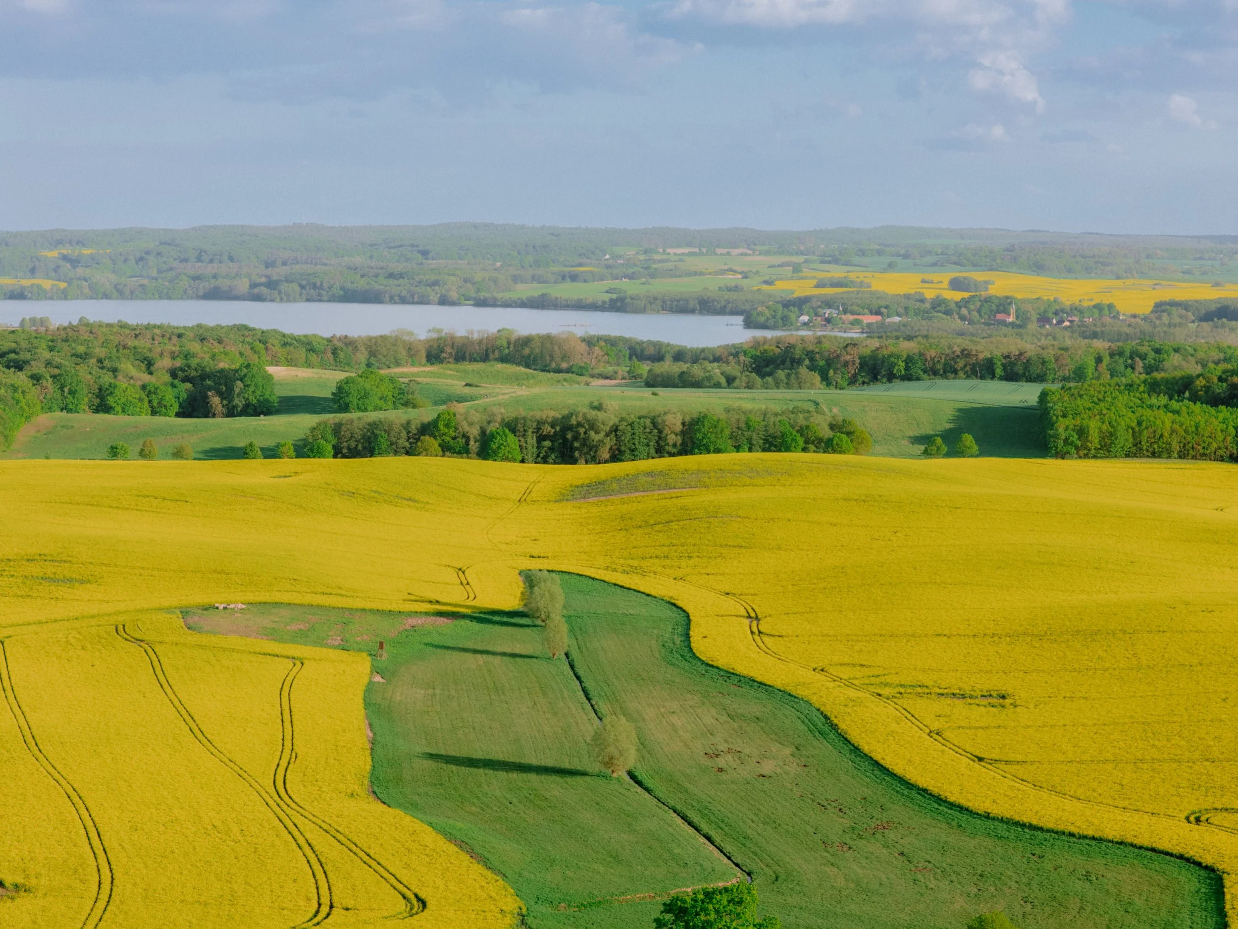 DJI_20260516191254_0256_D.jpg