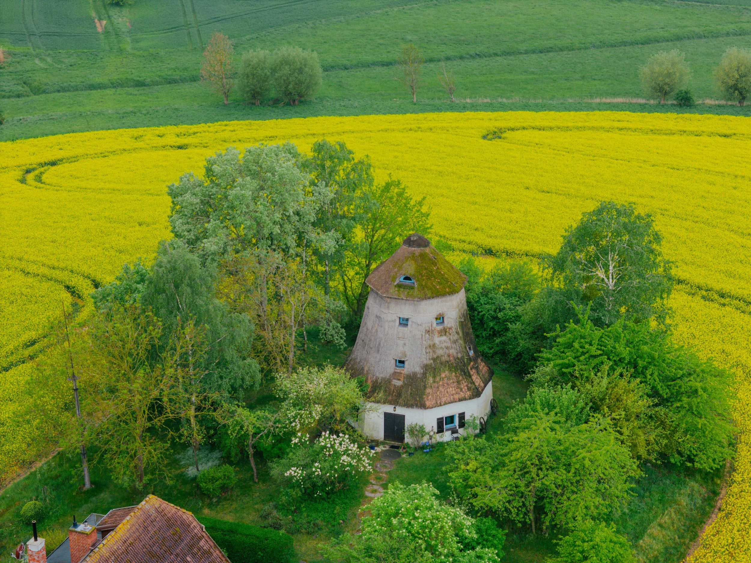 DJI_20260514075247_0101_D.jpg