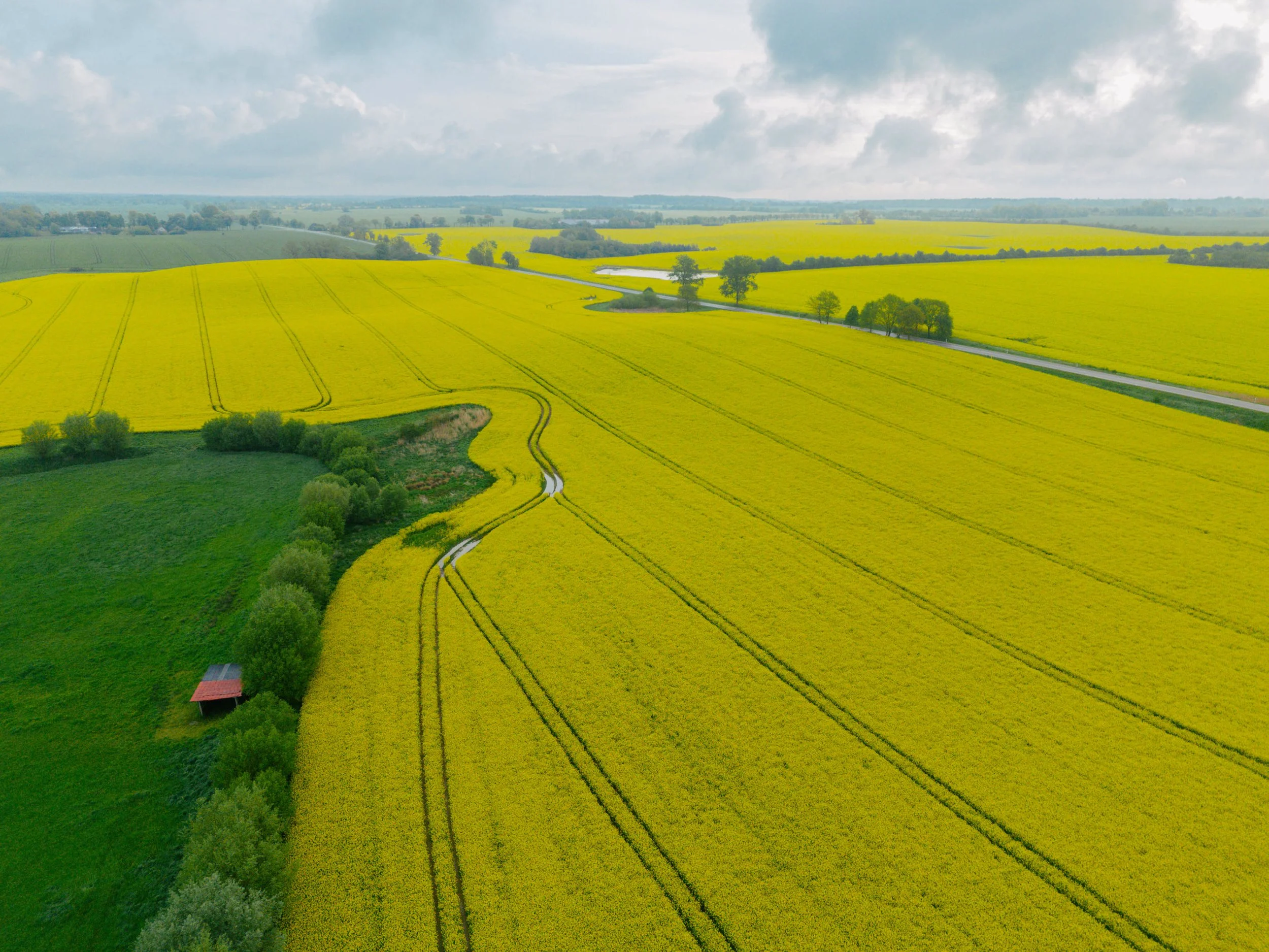 DJI_20260514075159_0100_D.jpg