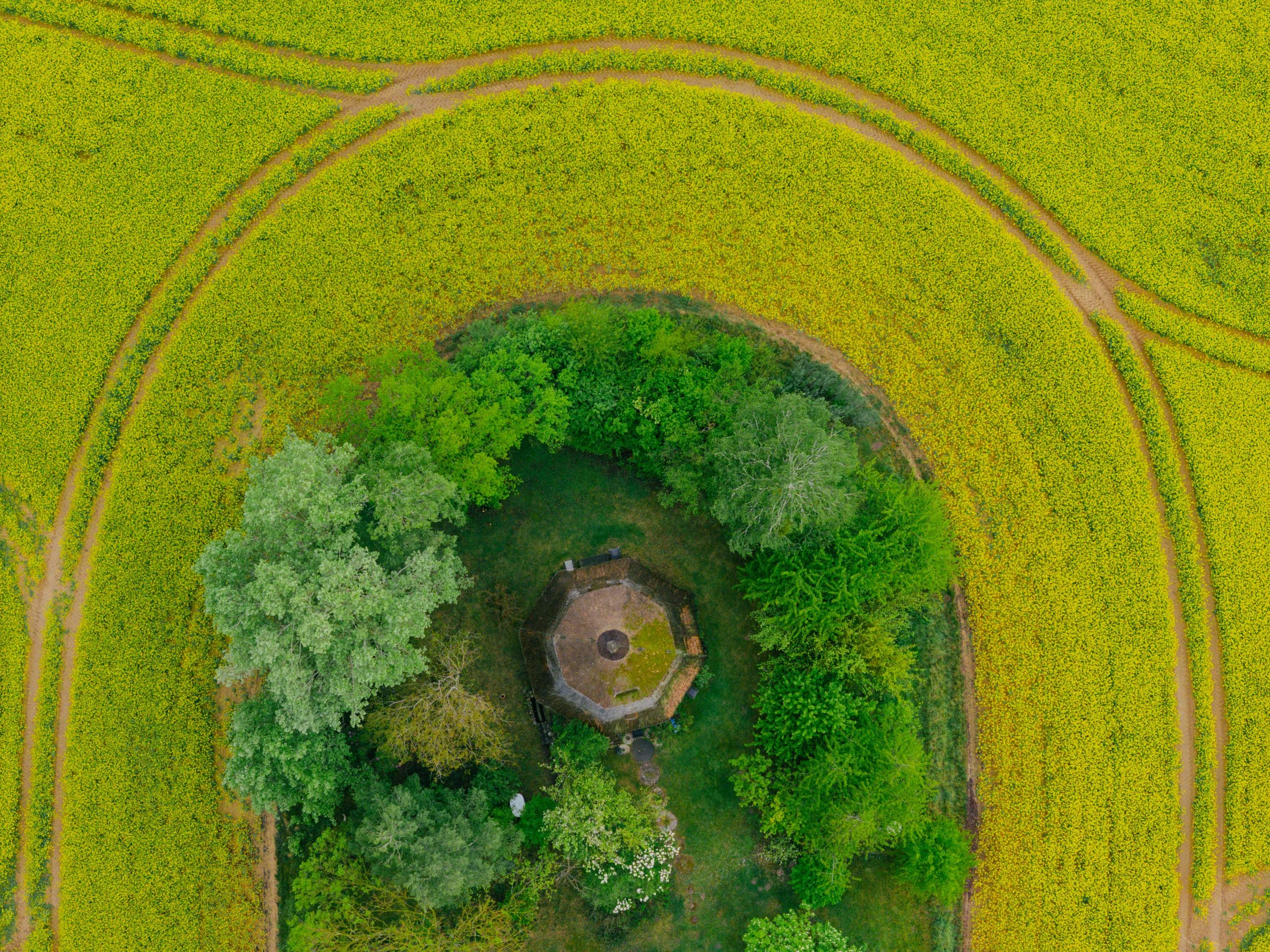 DJI_20260514075603_0109_D.jpg