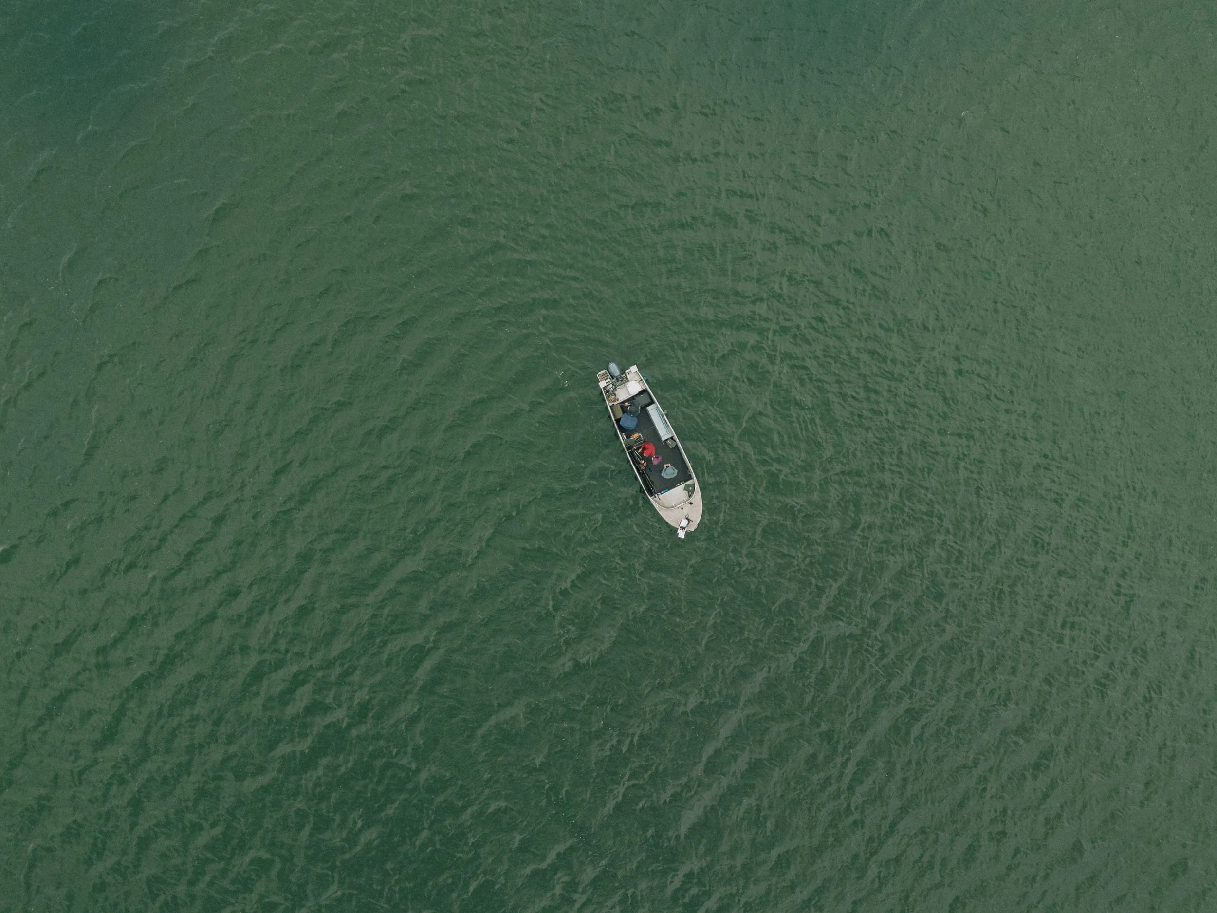 DJI_20260514120641_0155_D.jpg