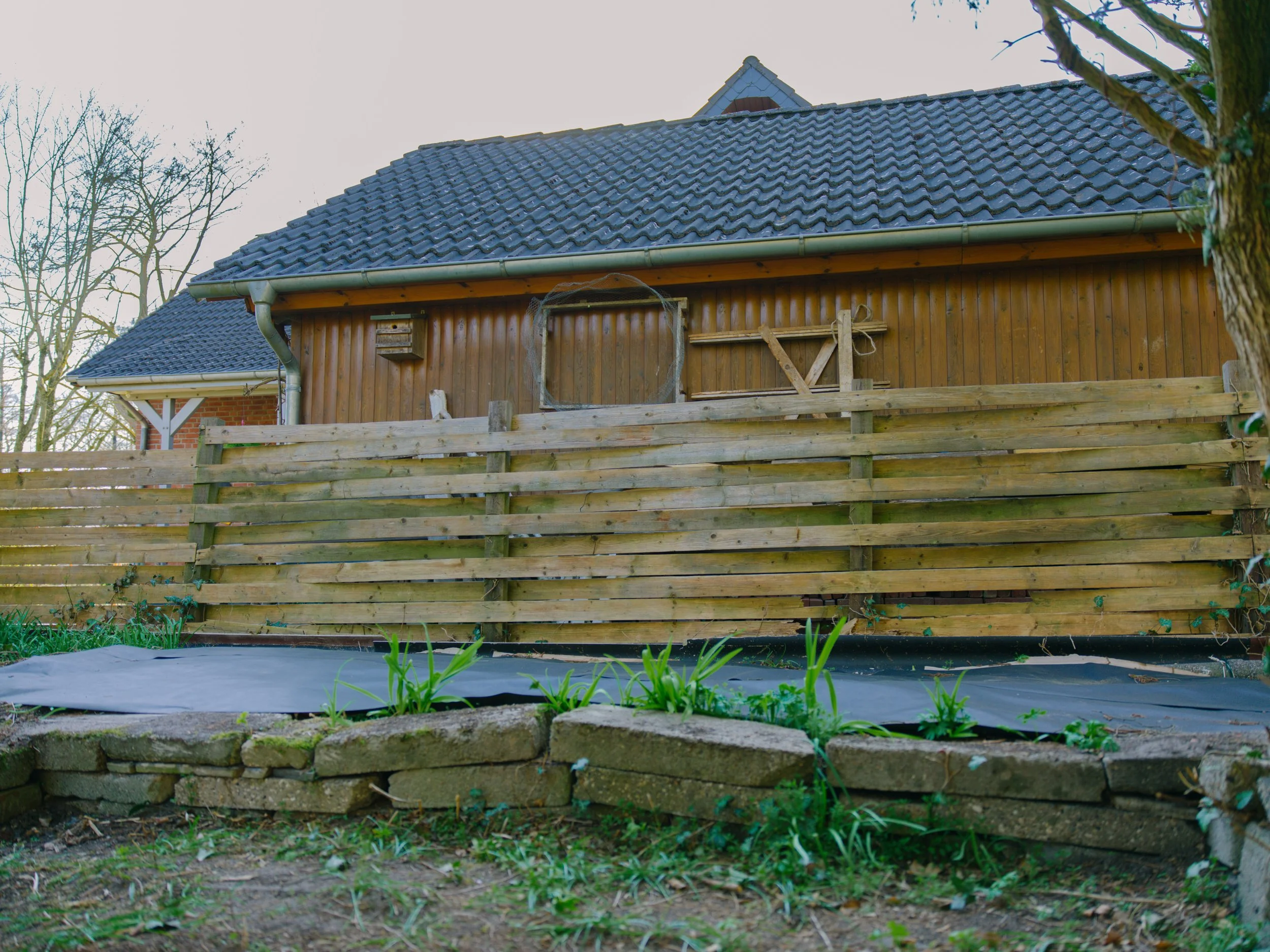 B0000107.jpg