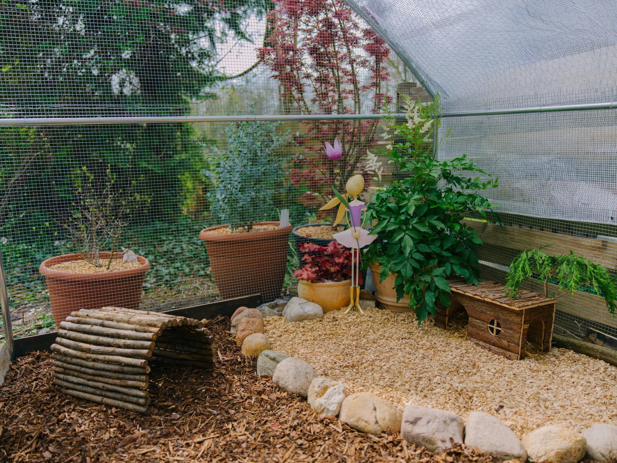 B0000126.jpg