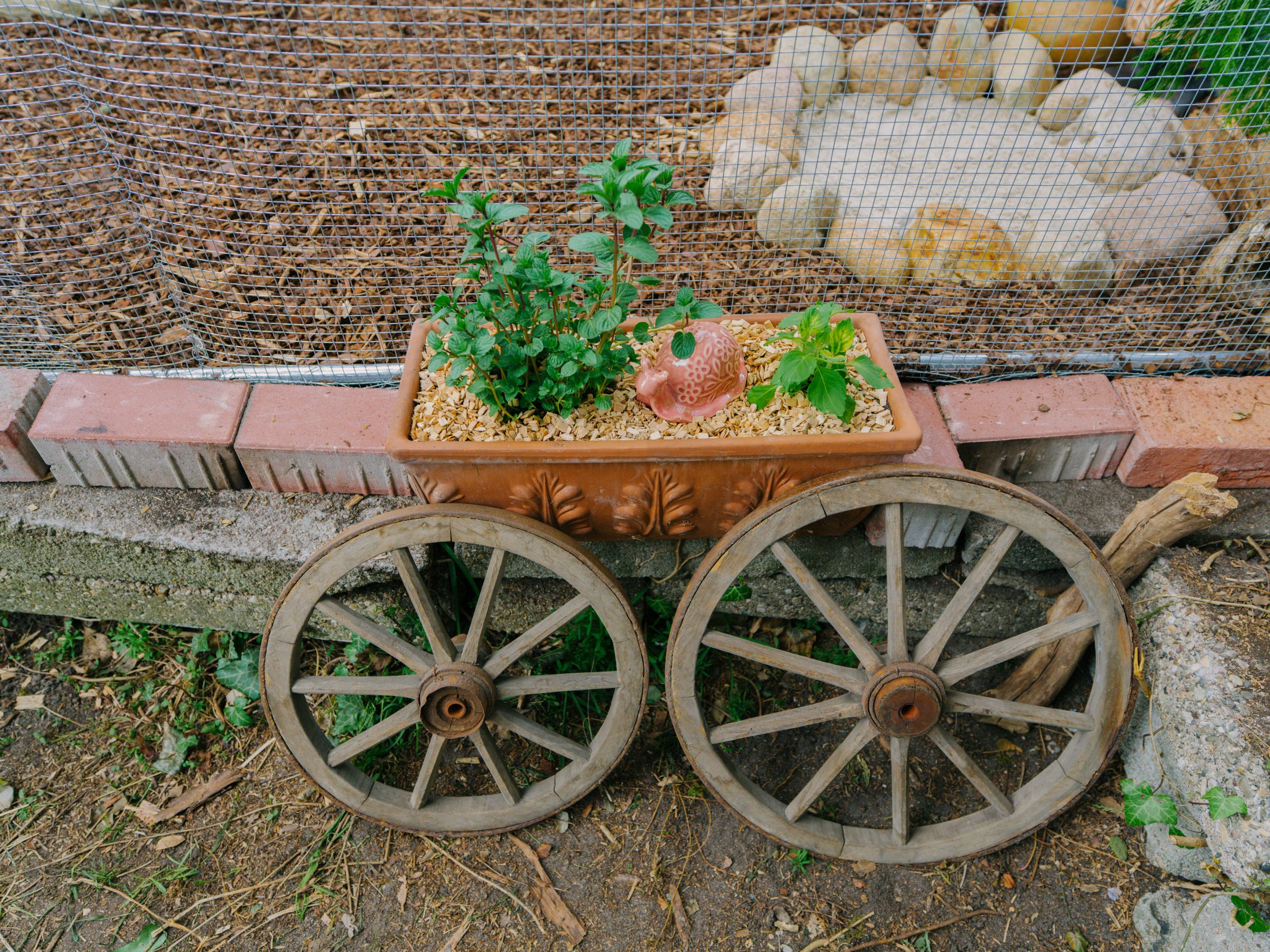 B0000129.jpg