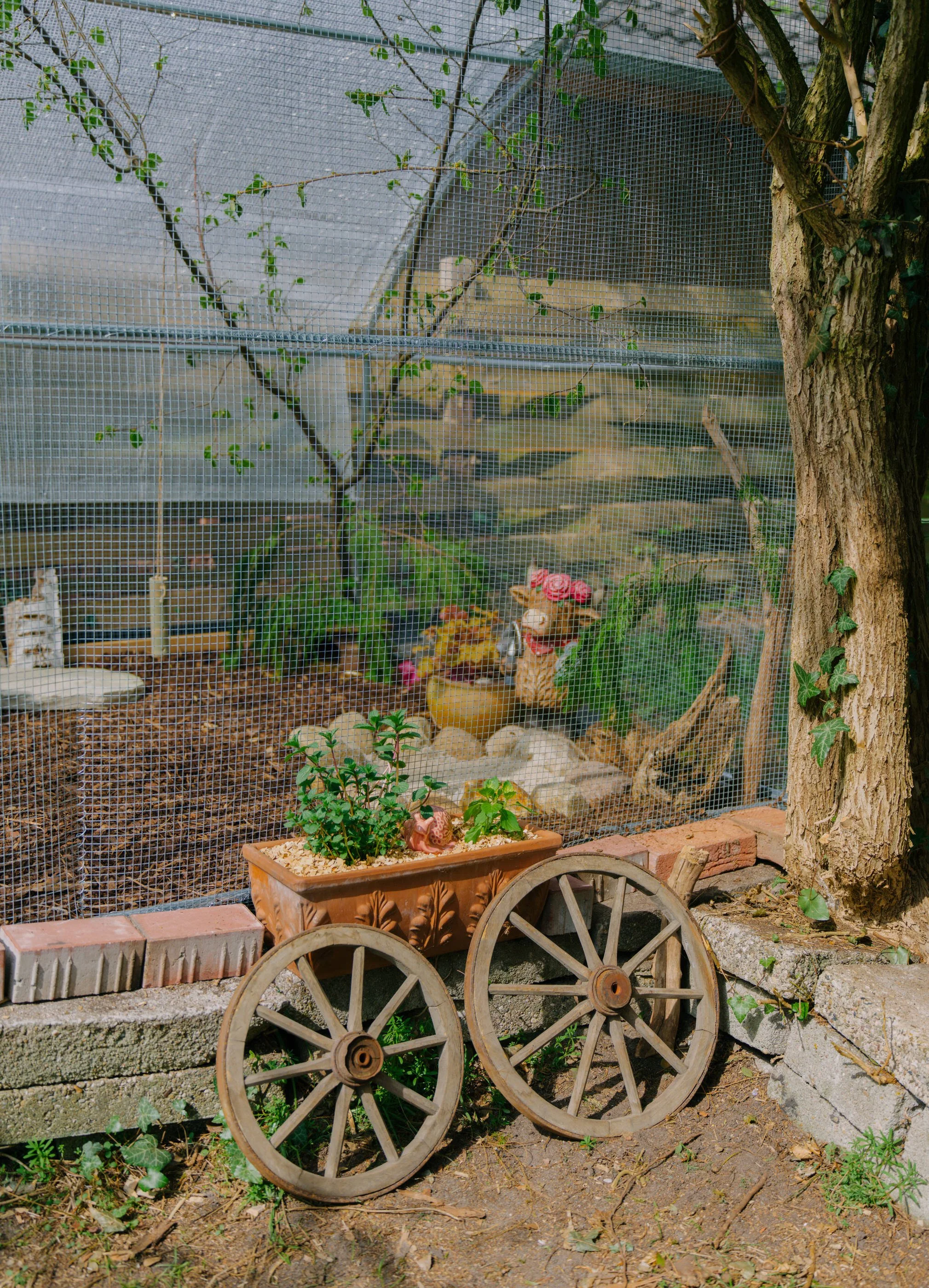 B0000119.jpg