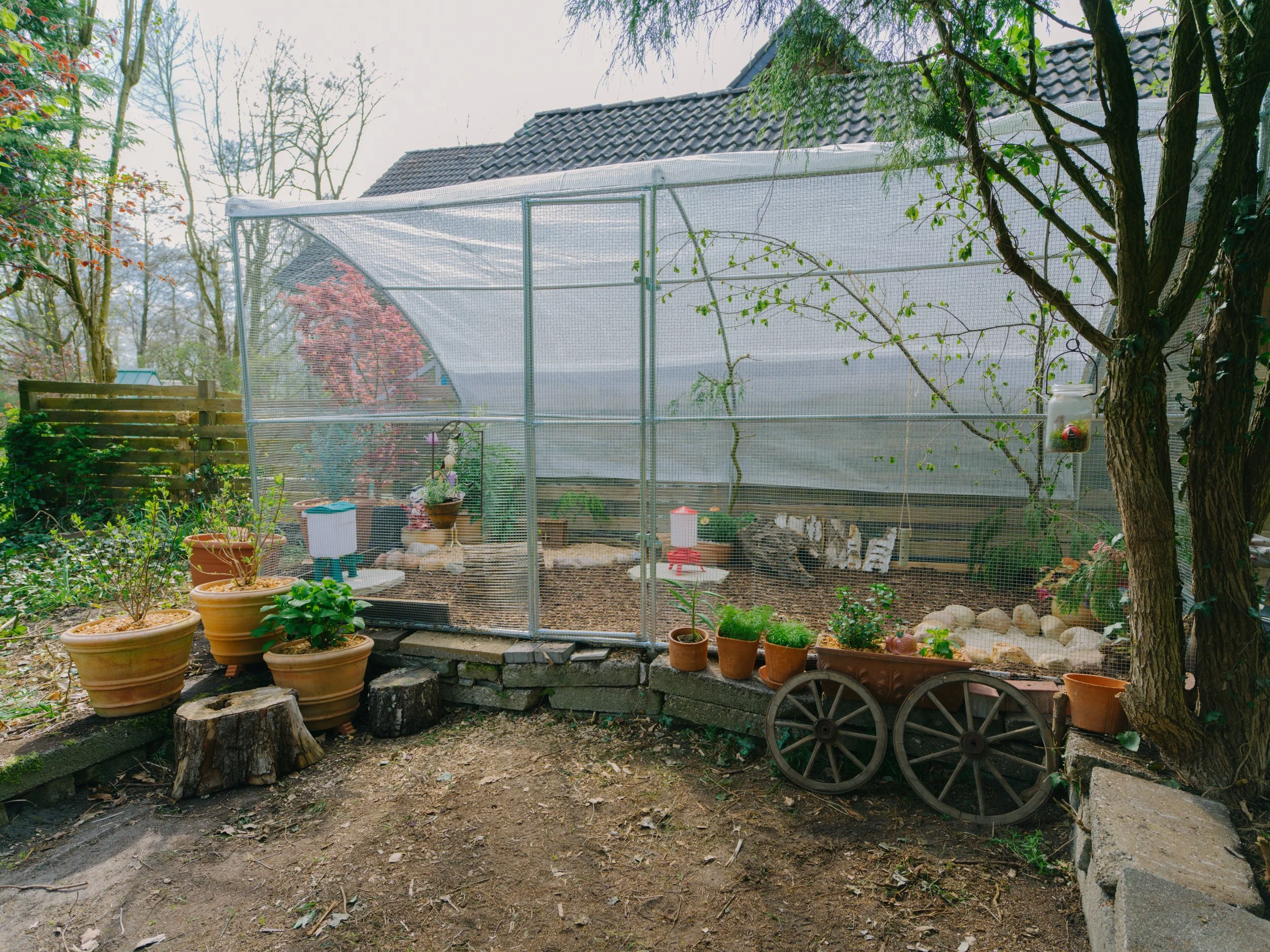B0000155.jpg
