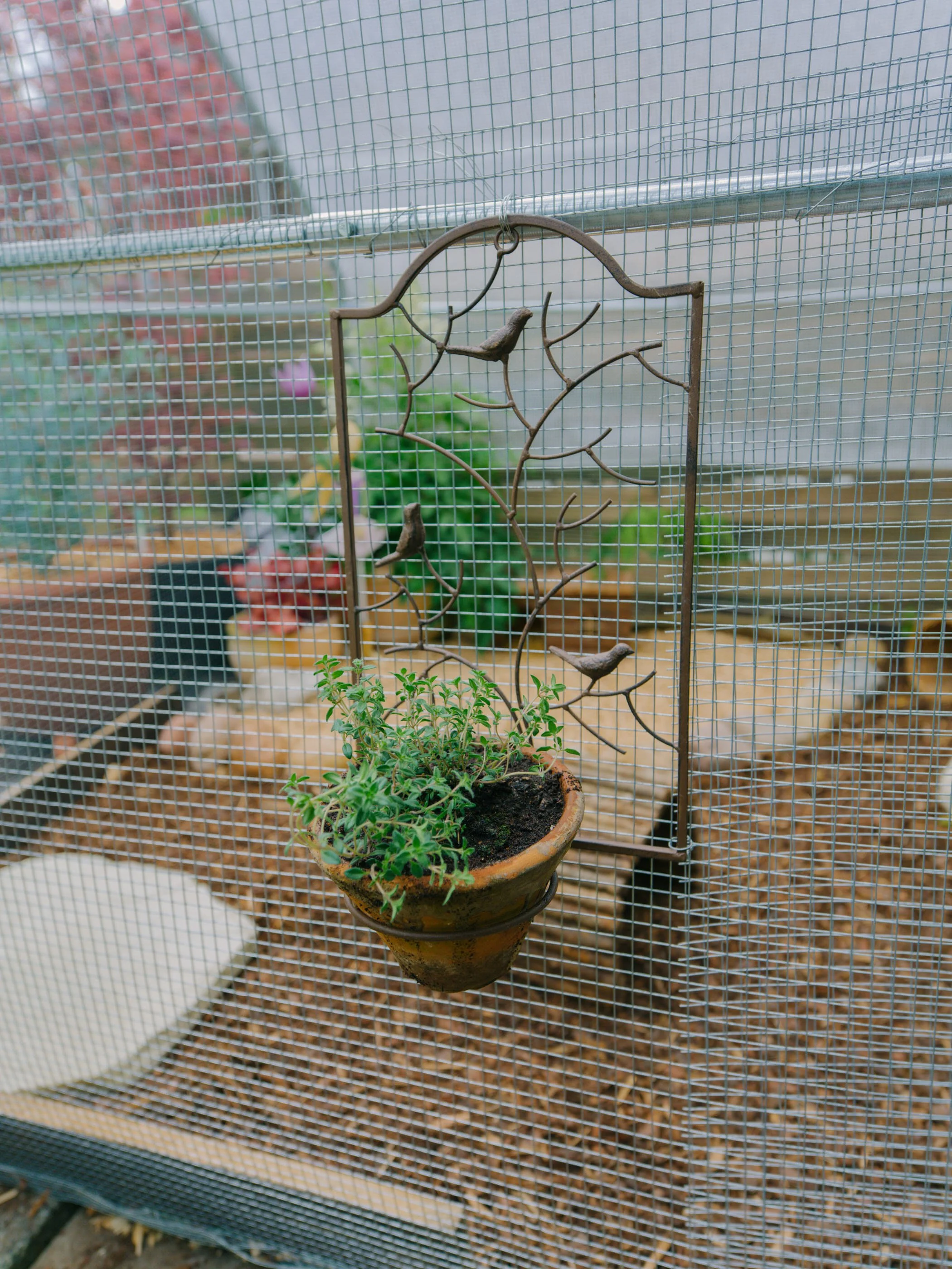 B0000149.jpg