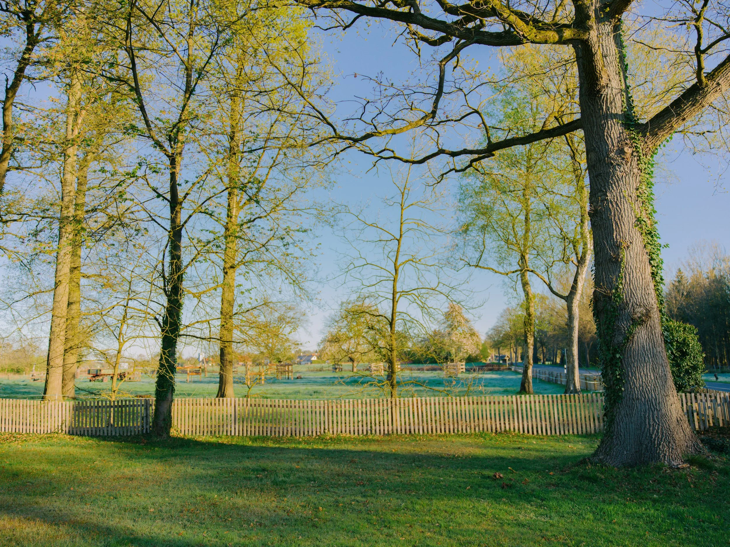 B0000230.jpg
