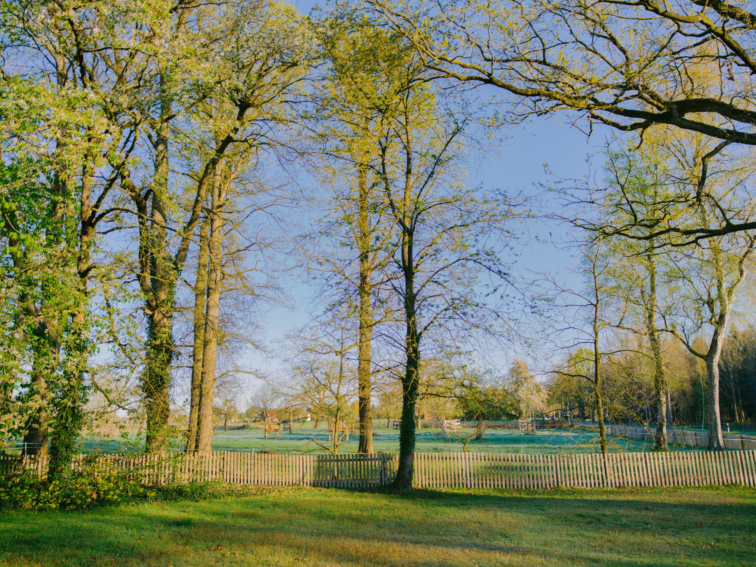 B0000233.jpg