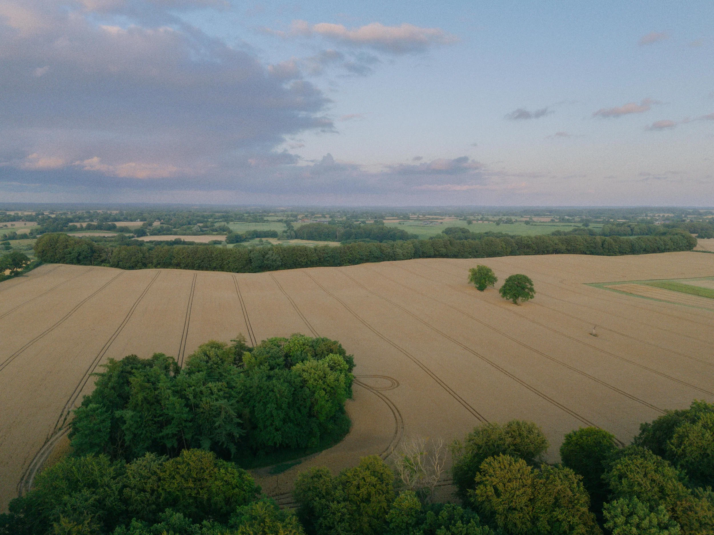 DJI_20260727210445_0013_D.jpg