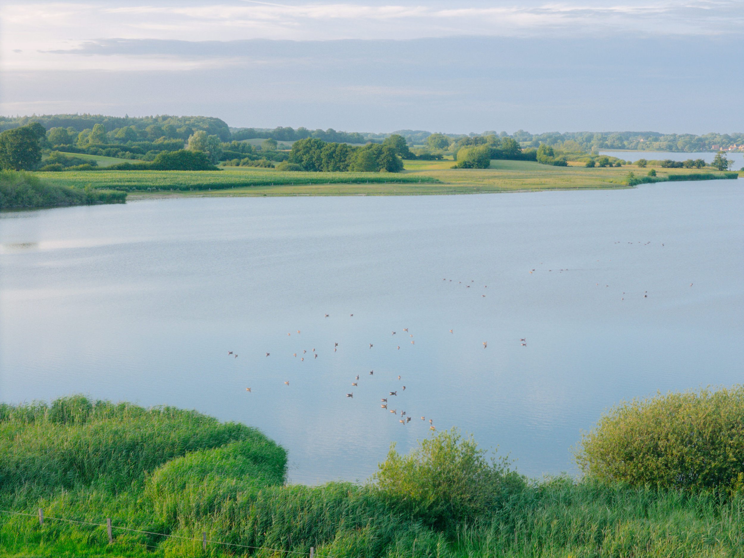DJI_20260728203123_0060_D.jpg