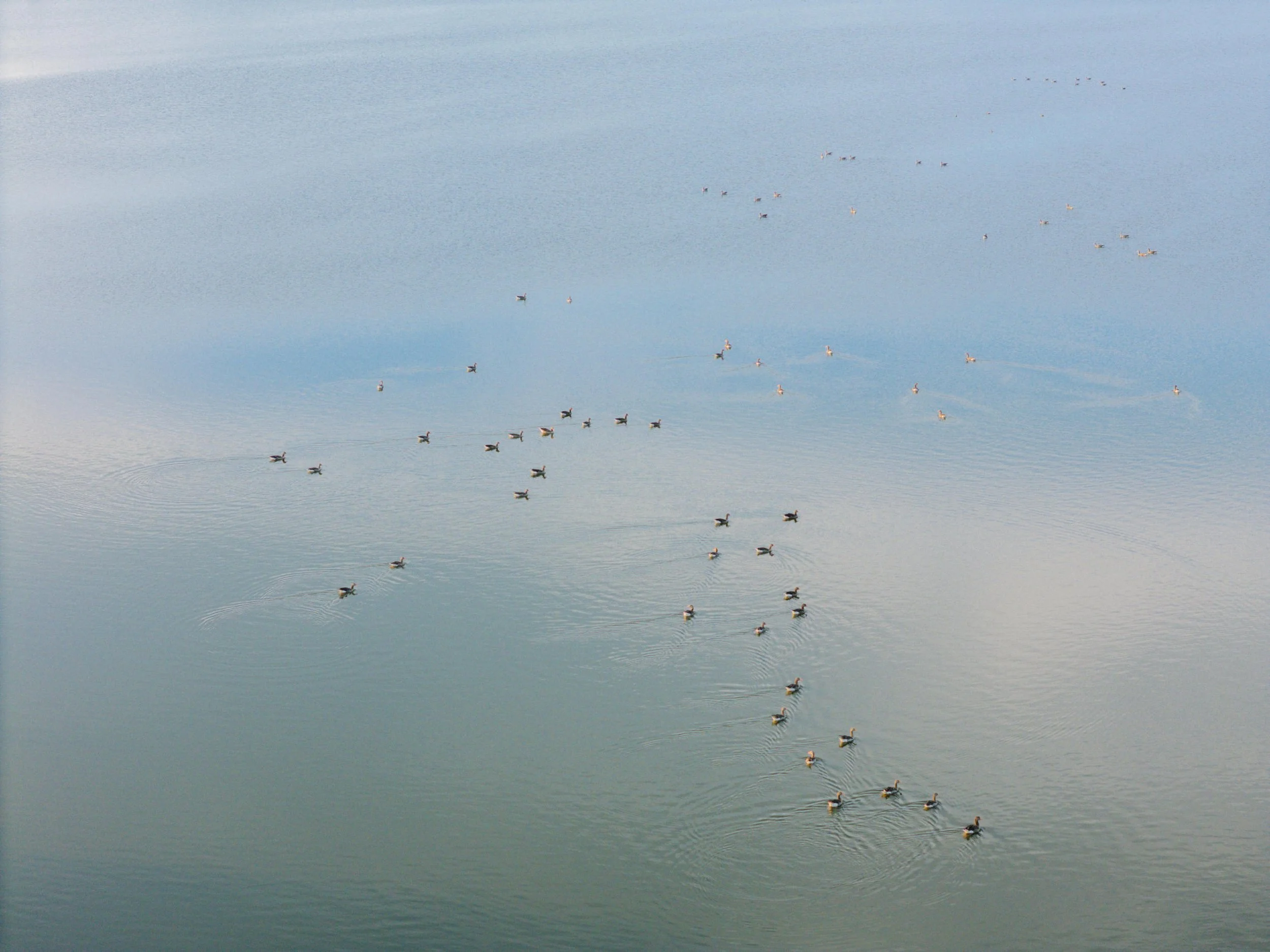 DJI_20260728203149_0062_D.jpg