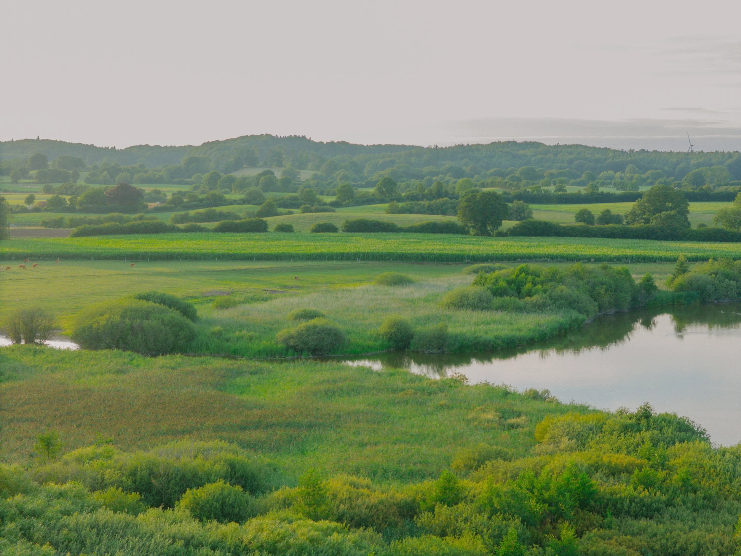DJI_20260728203313_0065_D.jpg