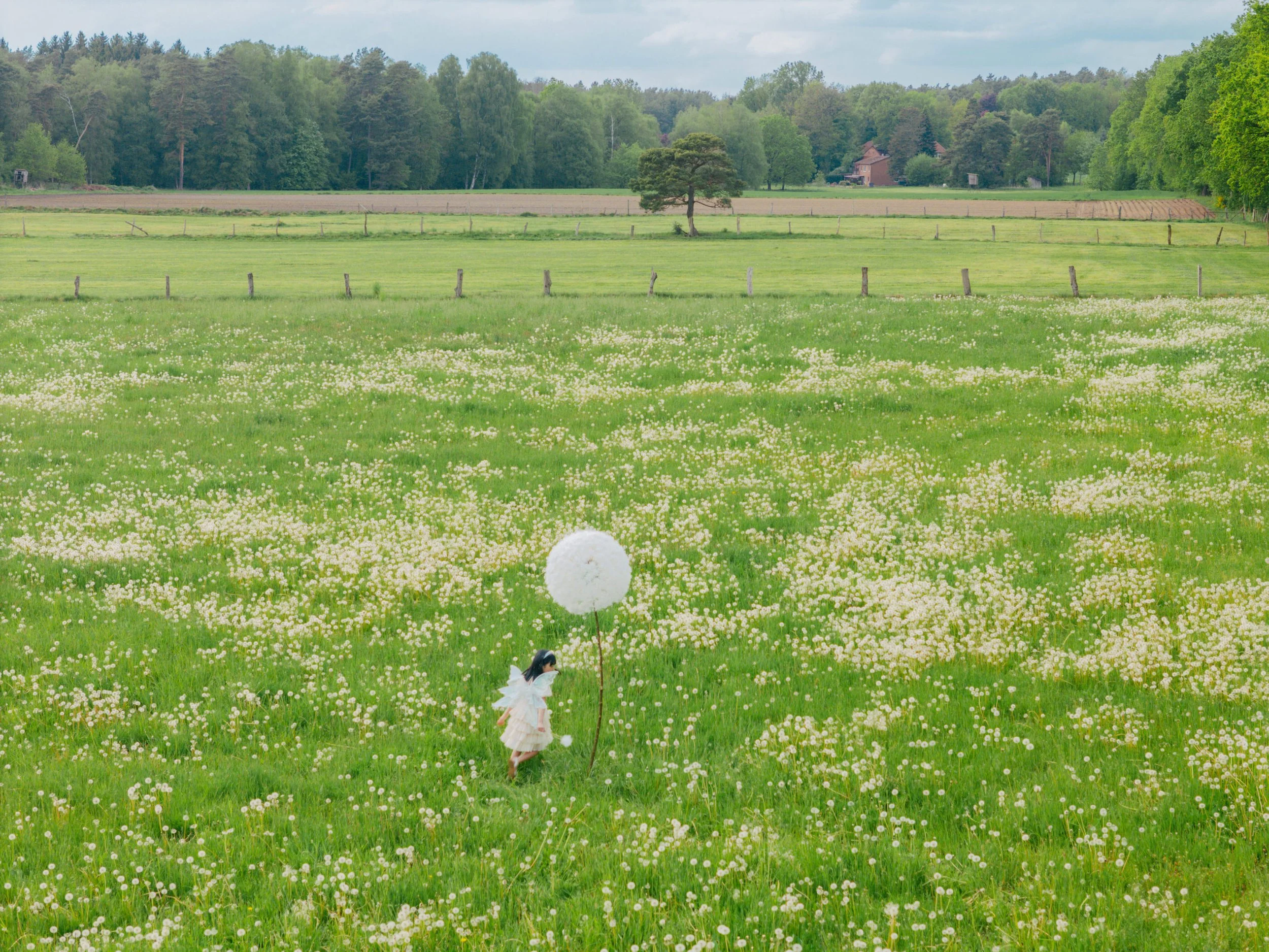 DJI_20260510170326_0040_D.jpg