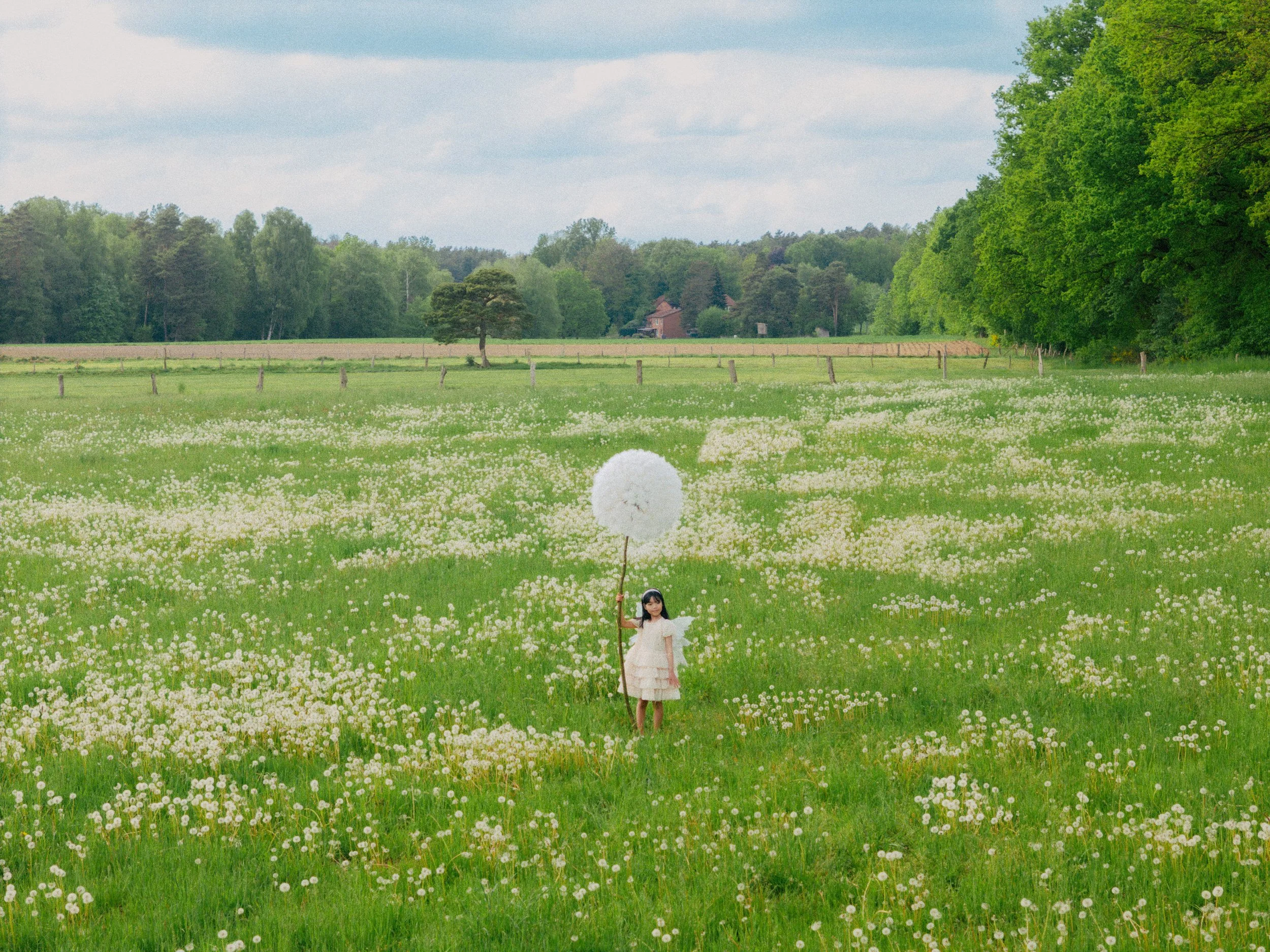 DJI_20260510162412_0005_D.jpg