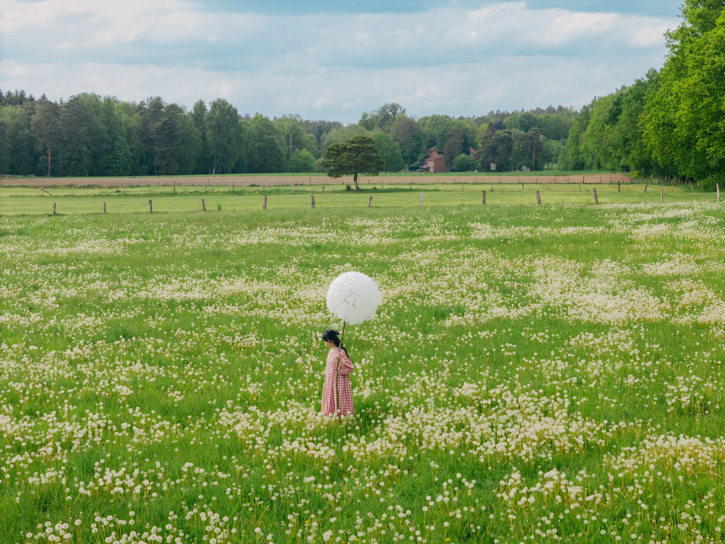 DJI_20260510162856_0018_D.jpg