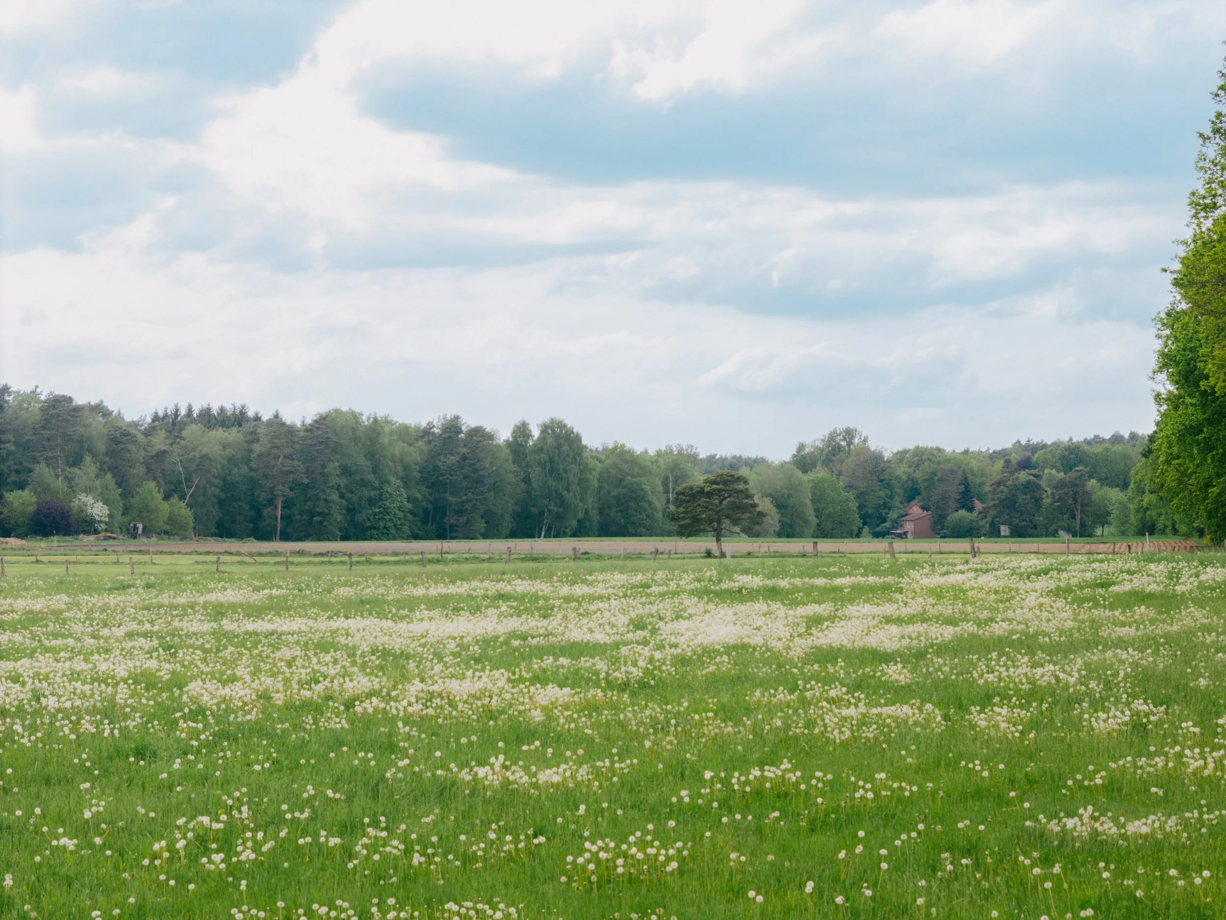 DJI_20260510172444_0085_D.jpg