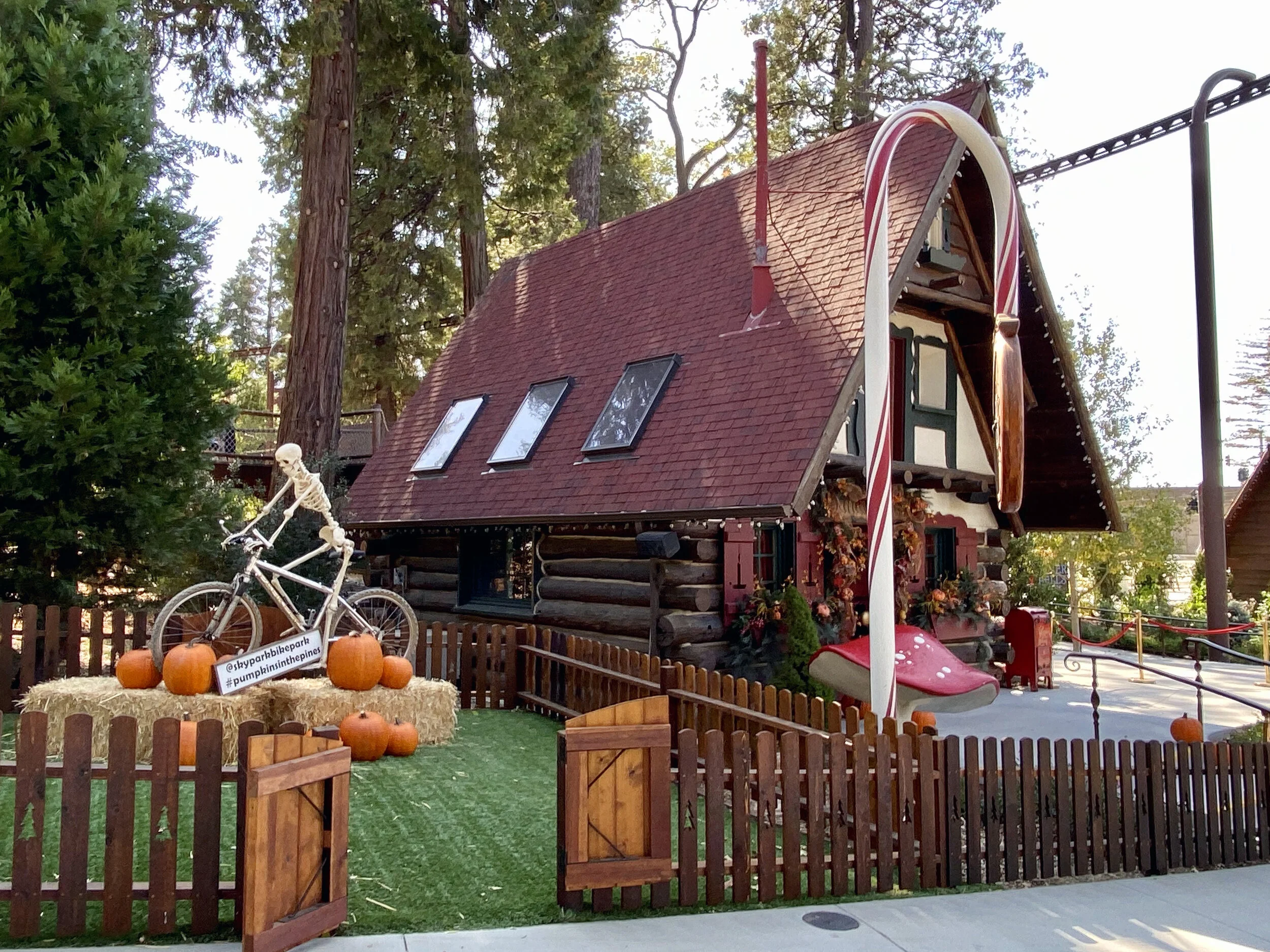 Sky Park at Santa's Village is Amazing!