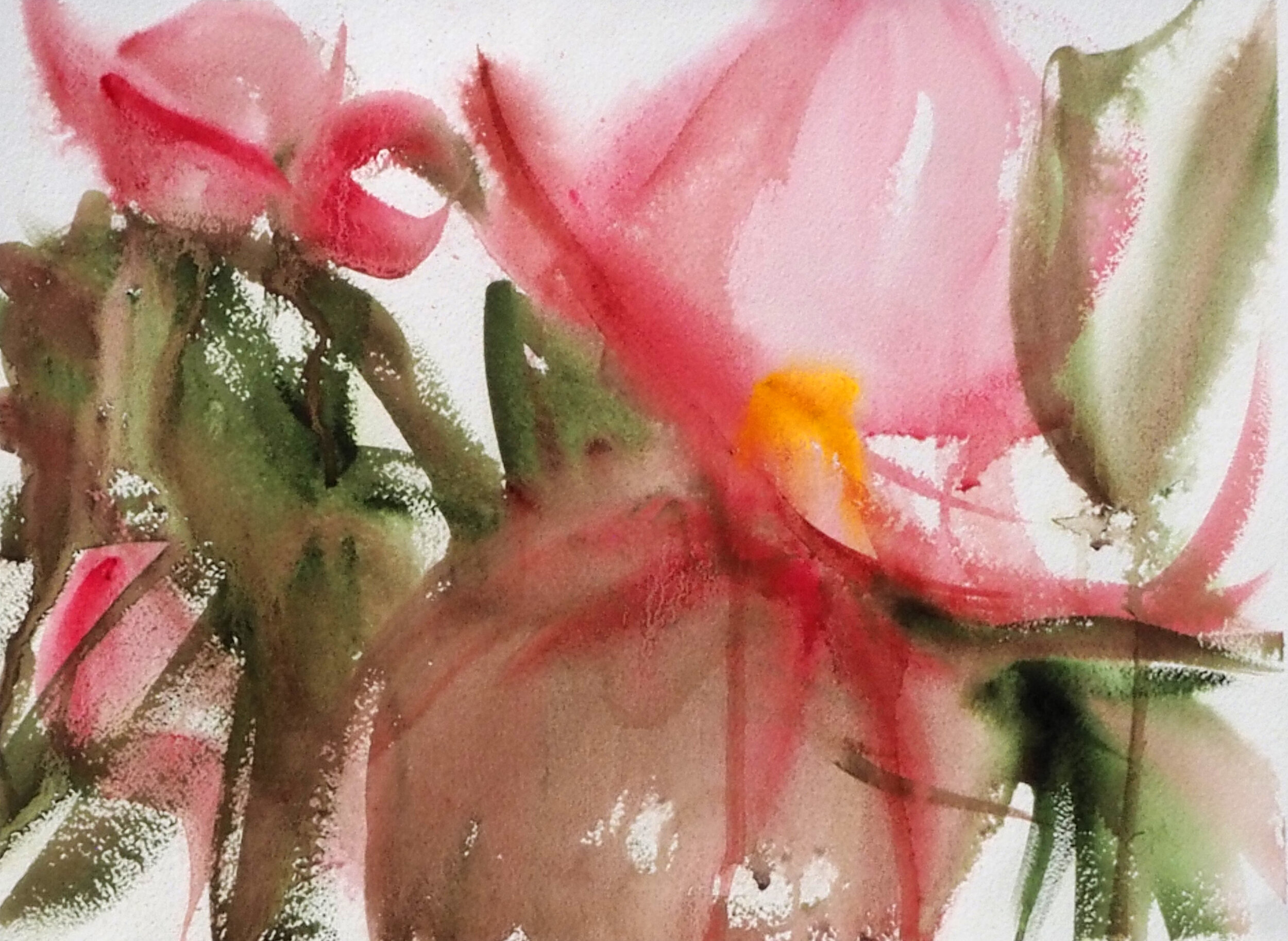 Essence of Begonias