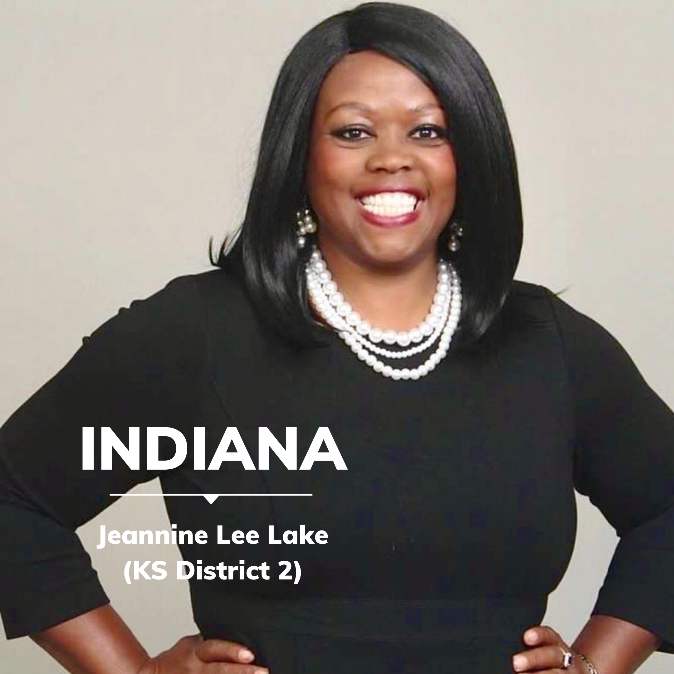 Jeannine Lee Lake — Vote Like a Girl