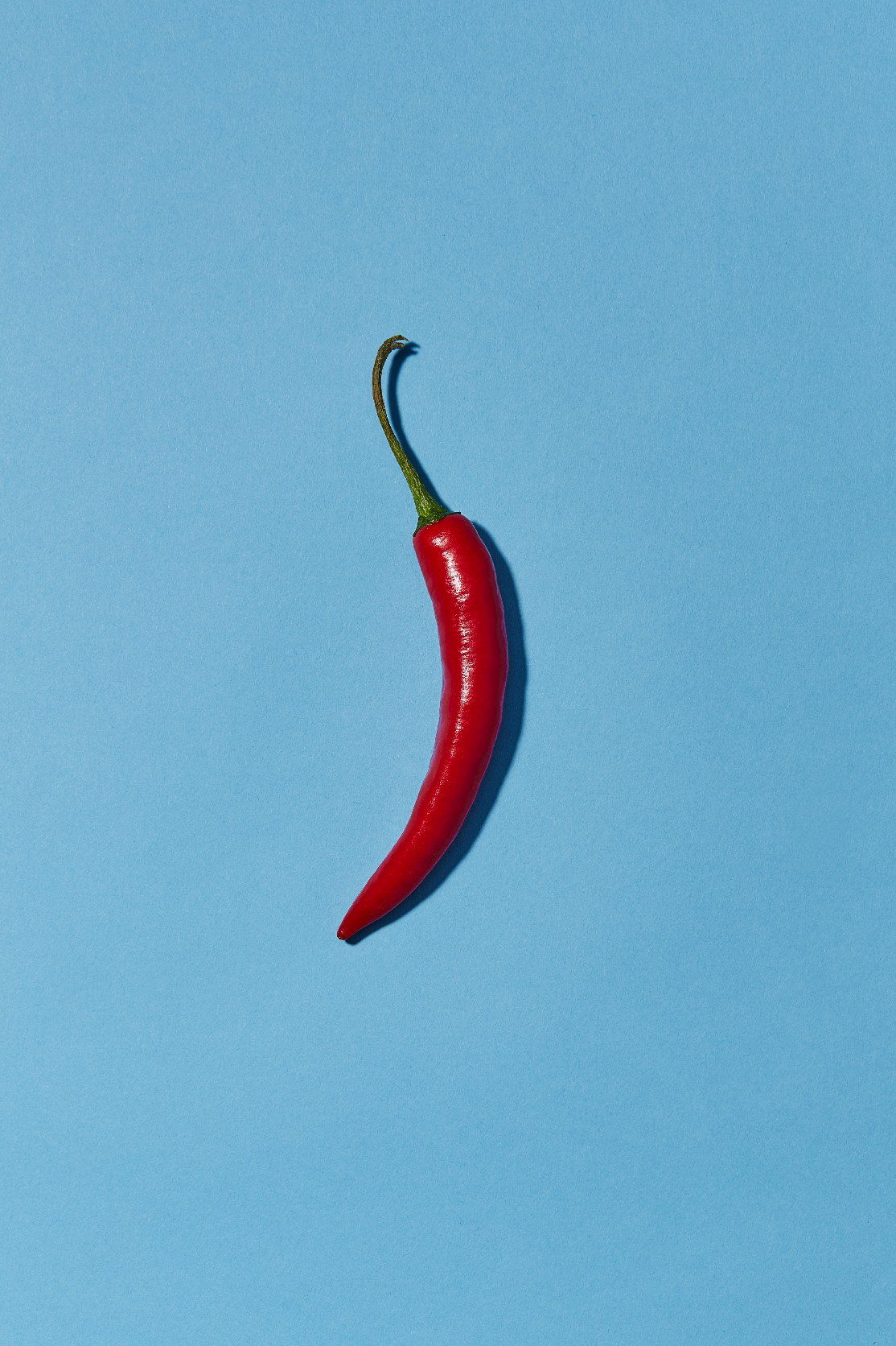 pickles-blog-pepper-on-blue-v1-FINAL.jpg