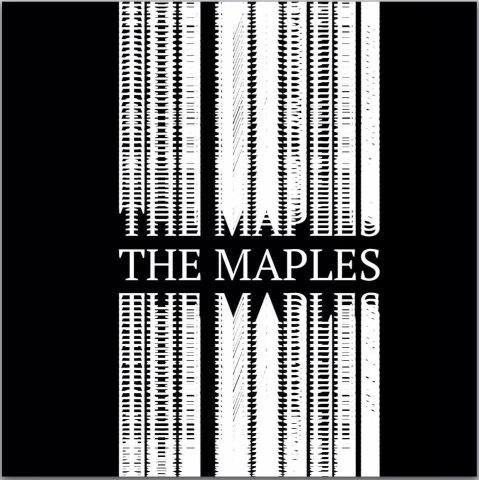 New singles from 3 Piece Punk Rock/Garage Rock band From Laredo, TX