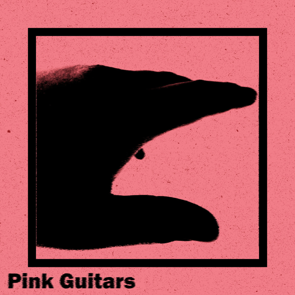 Pink Guitars cover.jpg