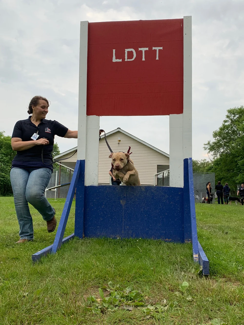 lorenzo-s-dog-training-team