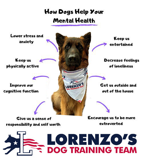 May is Mental Health Awareness Month. Studies have shown that animals can reduce loneliness, decrease stress levels, increase feelings of social support, and boost your mood. Thinking about adopting a dog? Lorenzo&rsquo;s Dog Training Team is here to