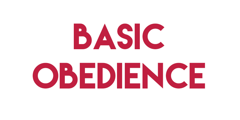 BASIC OBEDIENCE.png
