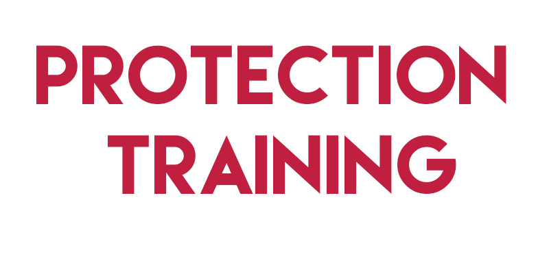 PROTECTION TRAINING.png