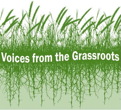 What is Elderly Advocates?