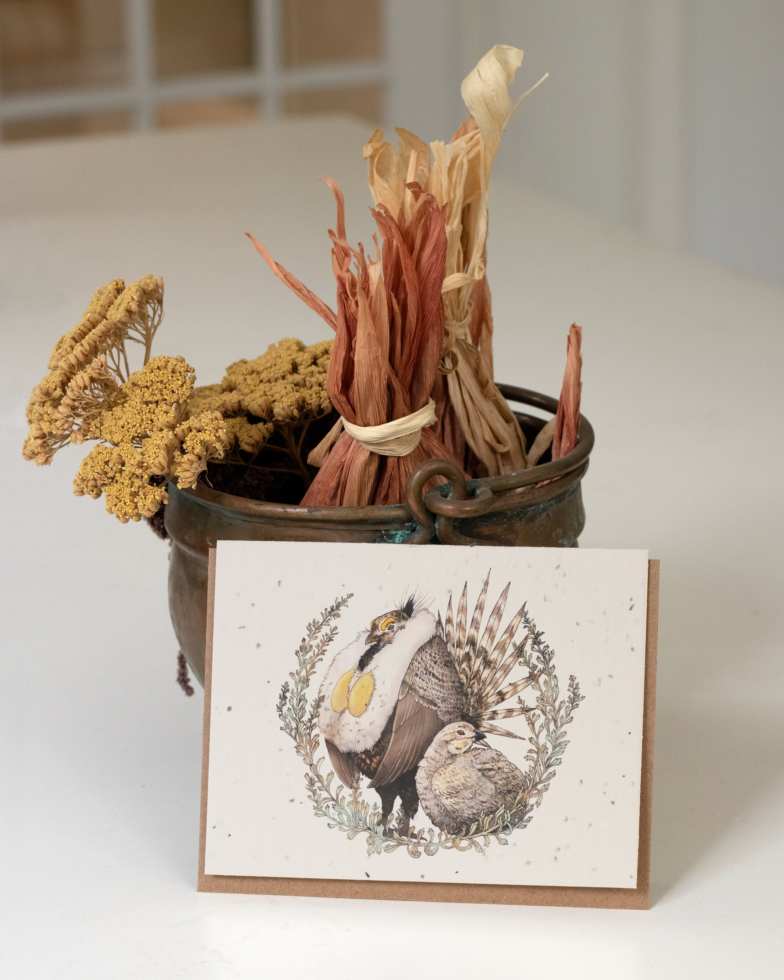 The Story Behind the Cards - Animal & Plant Companions — The Bower Studio