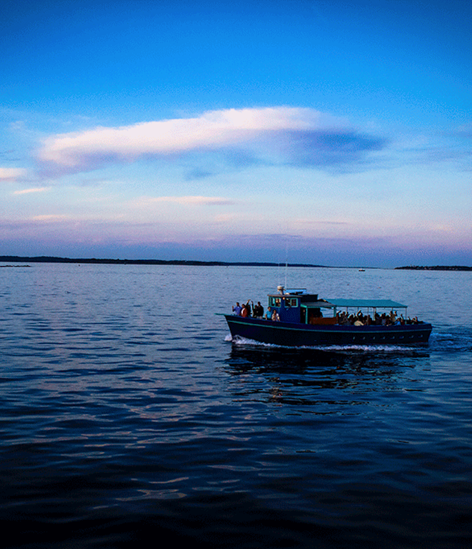 harbor cruises