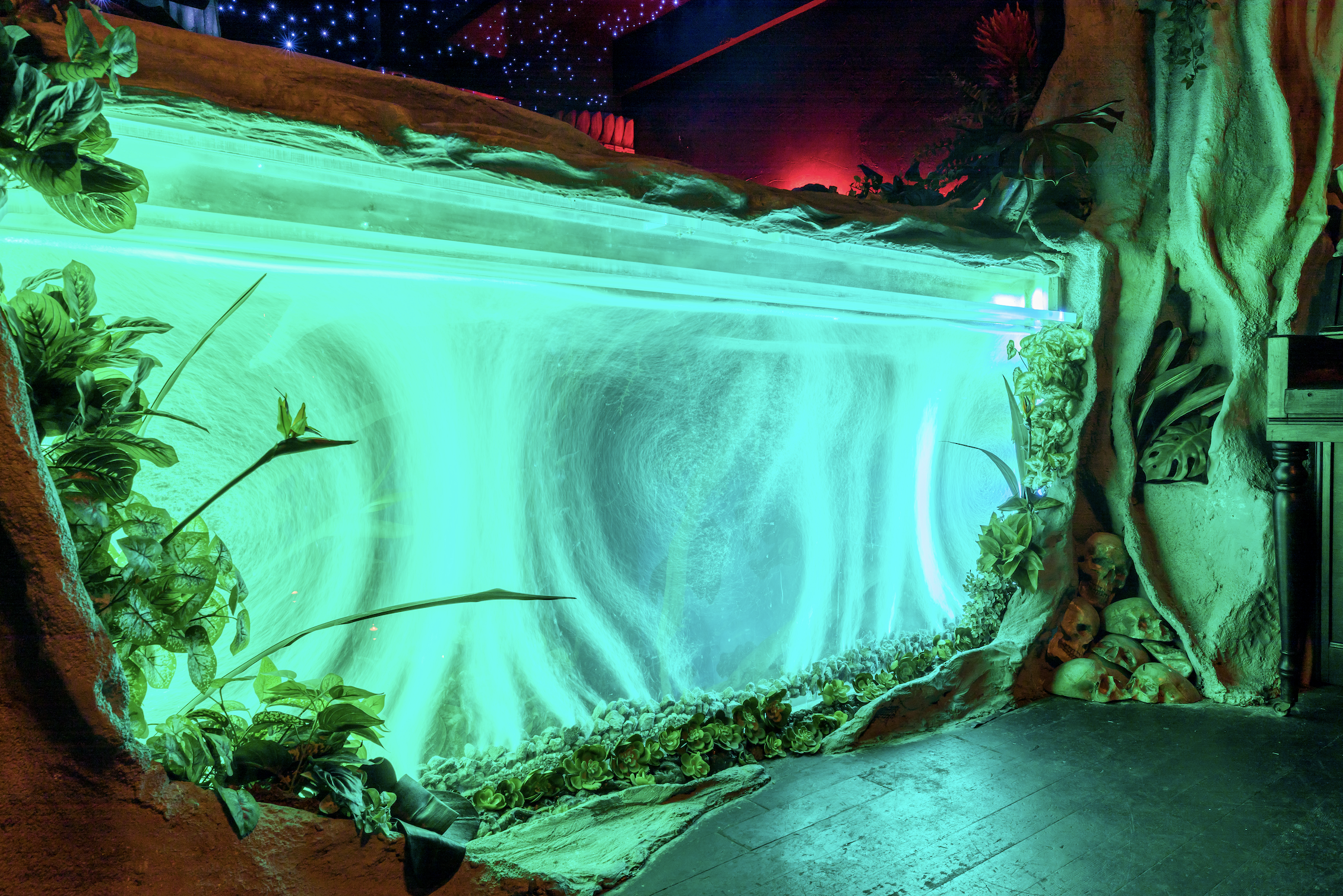 Screenshot 2026-01-06 at 2.42.16 PM.png