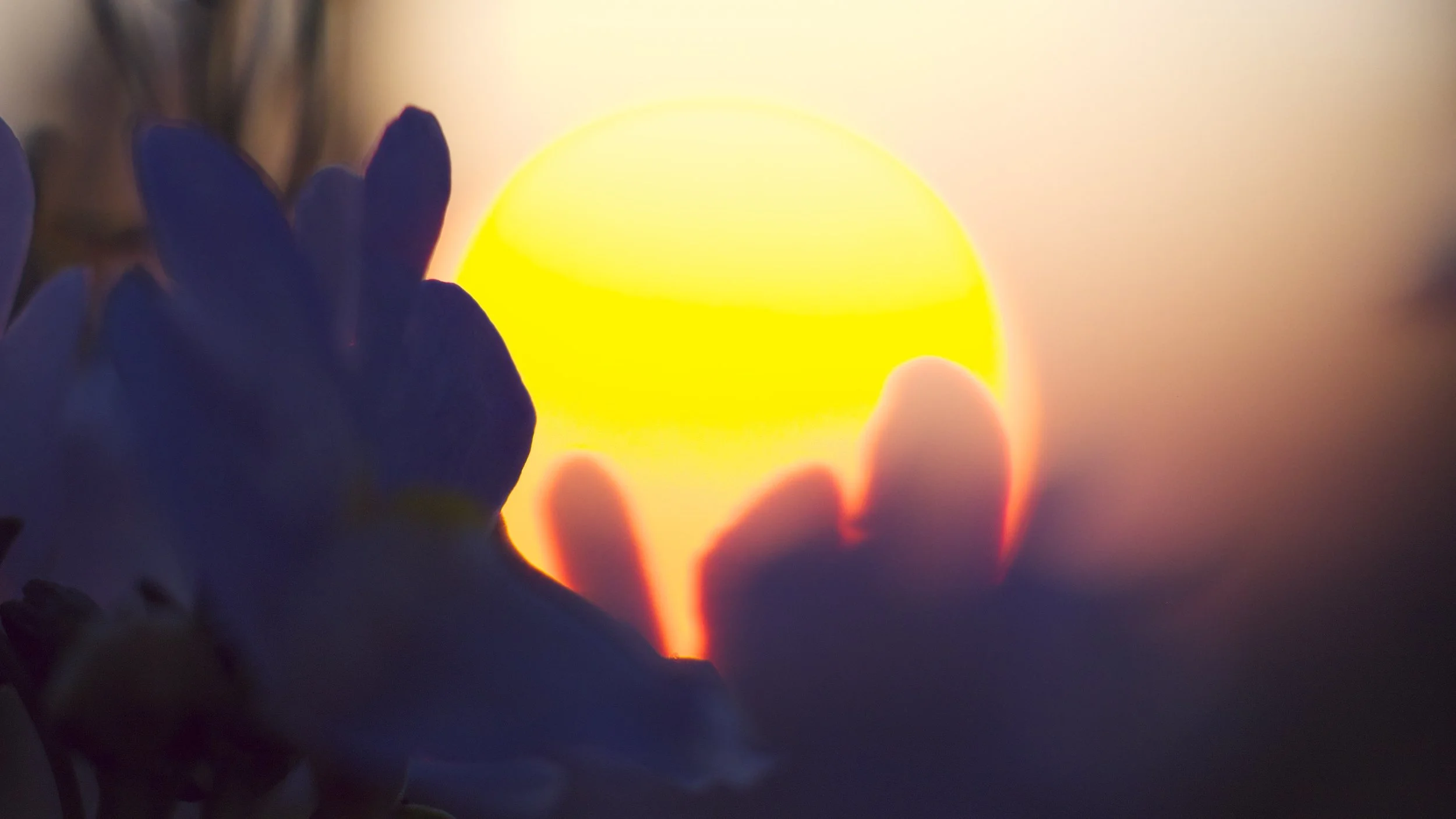 le soleil.jpg