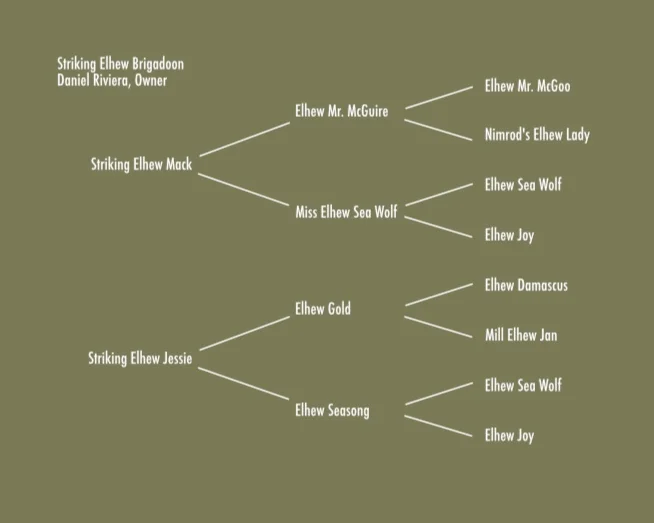 Pedigree.jpg