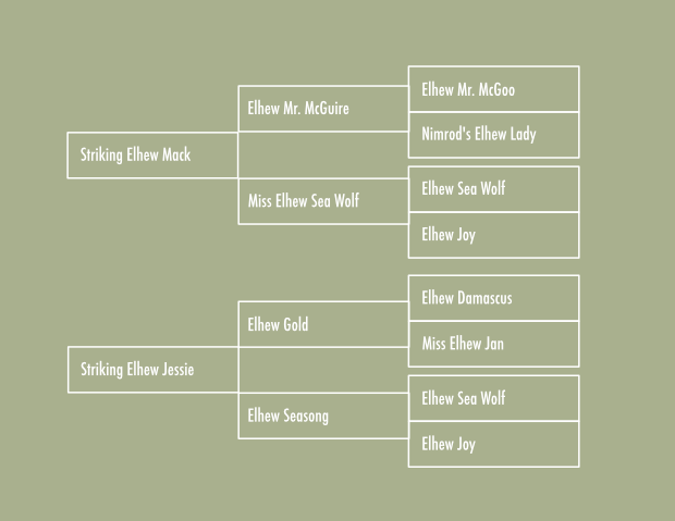 Pedigree.png