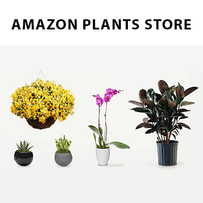 Amazon Plants Store