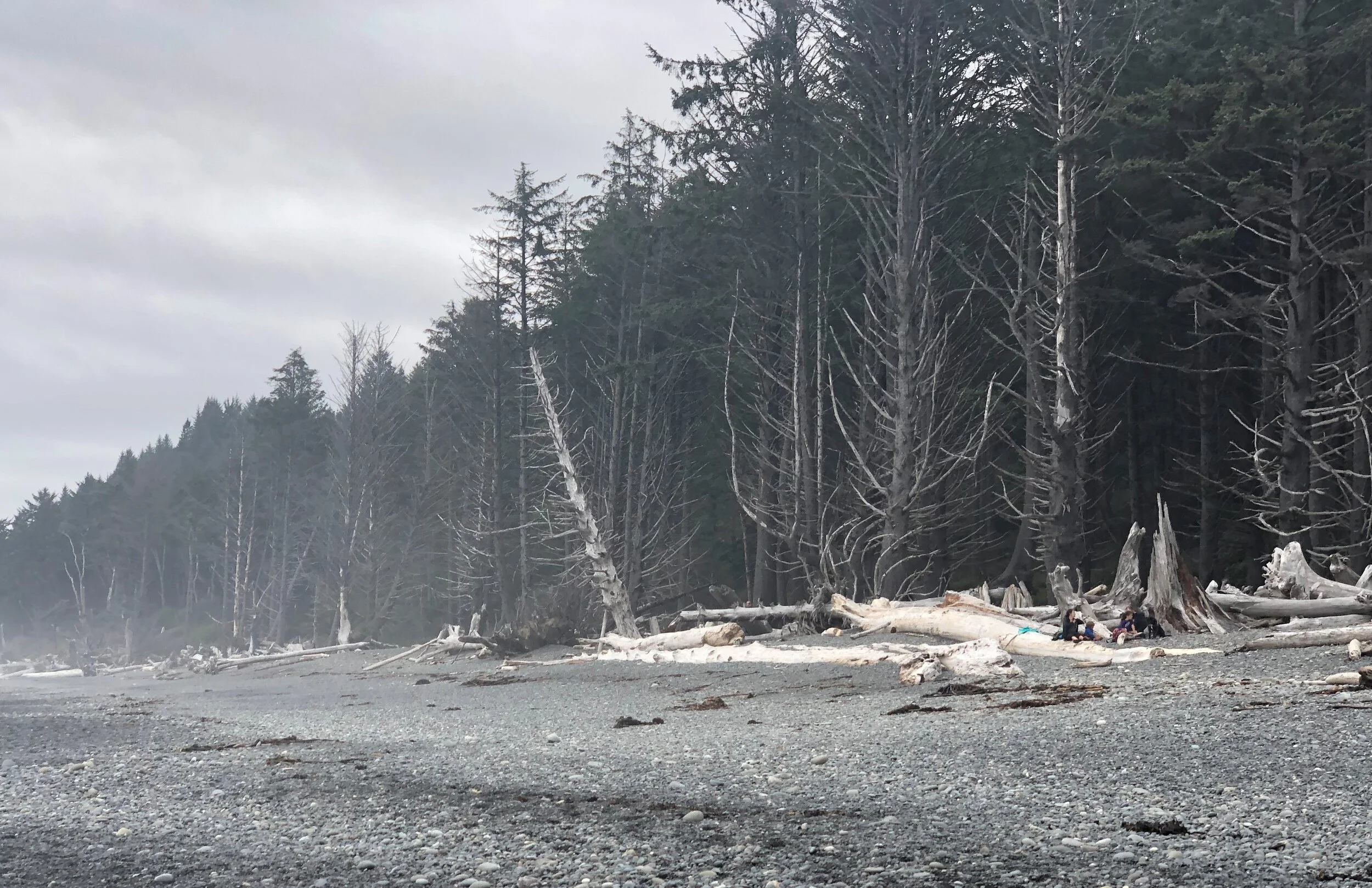 Olympic Peninsula Solitude.jpg