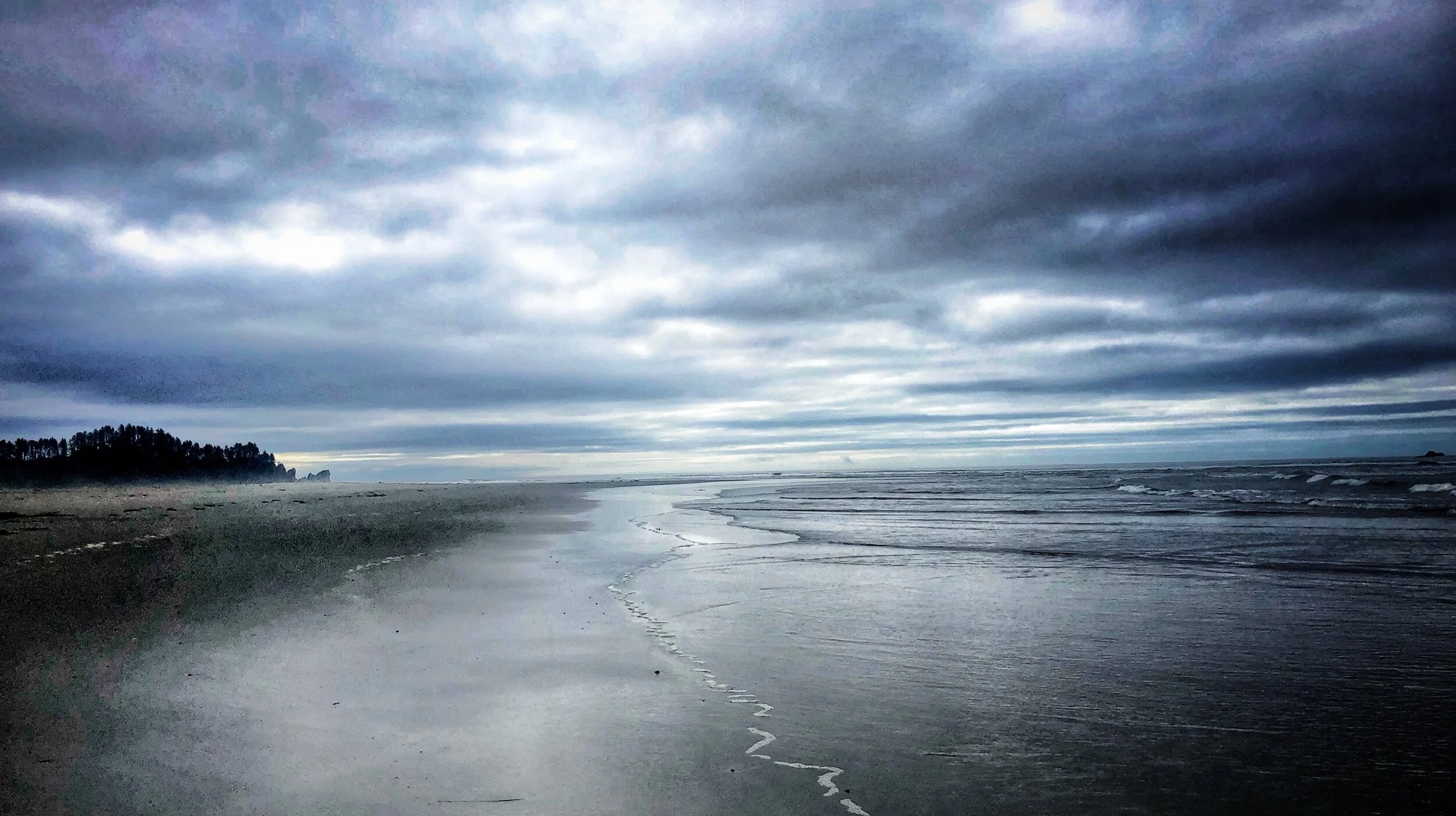 Olympic Peninsula Beach.jpg