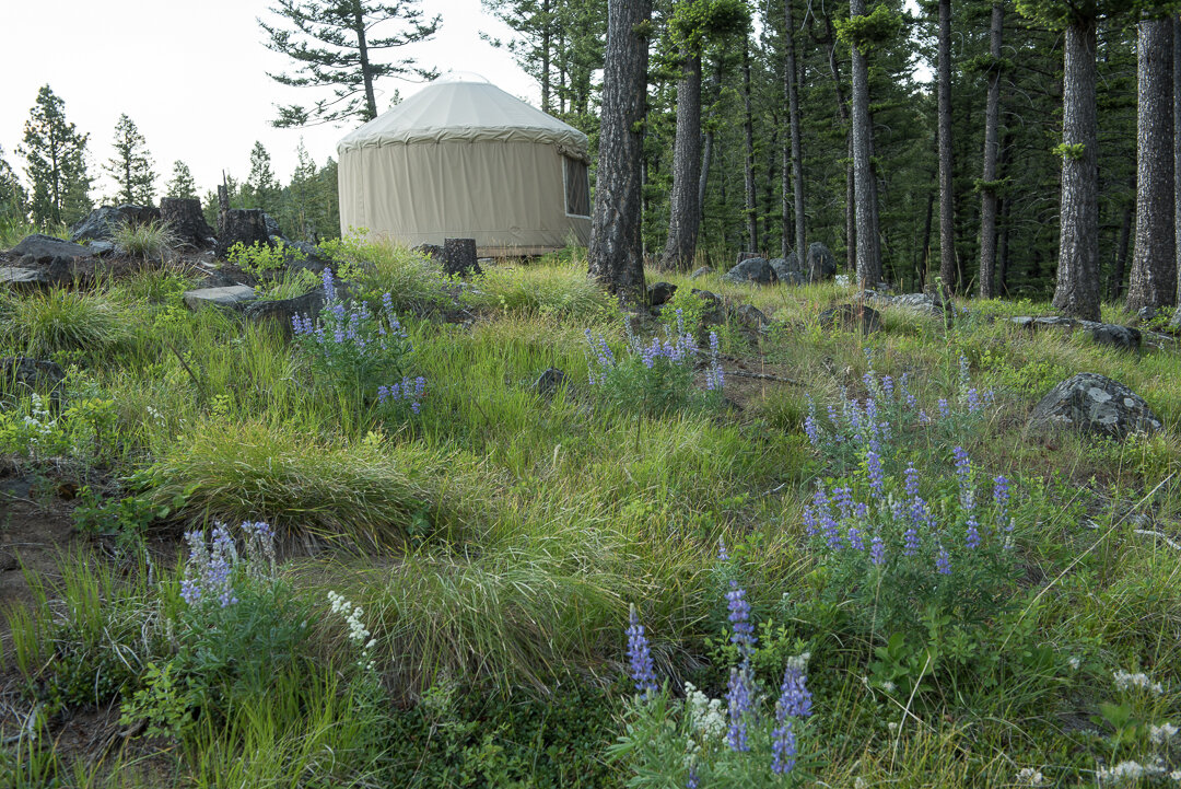 Feathered Pipe Accommodation - Yurt_1.JPG