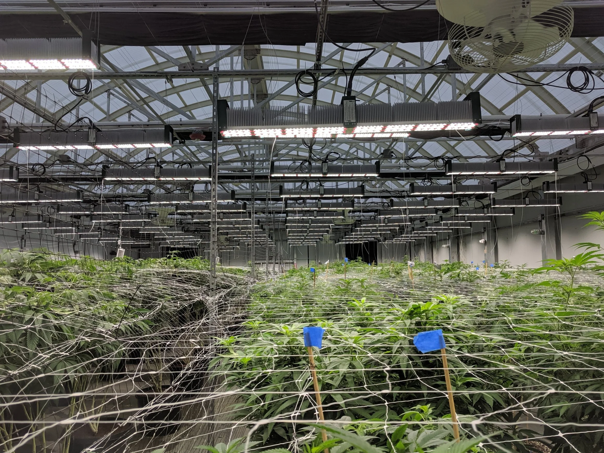 Gutter Connect Plants.jpg