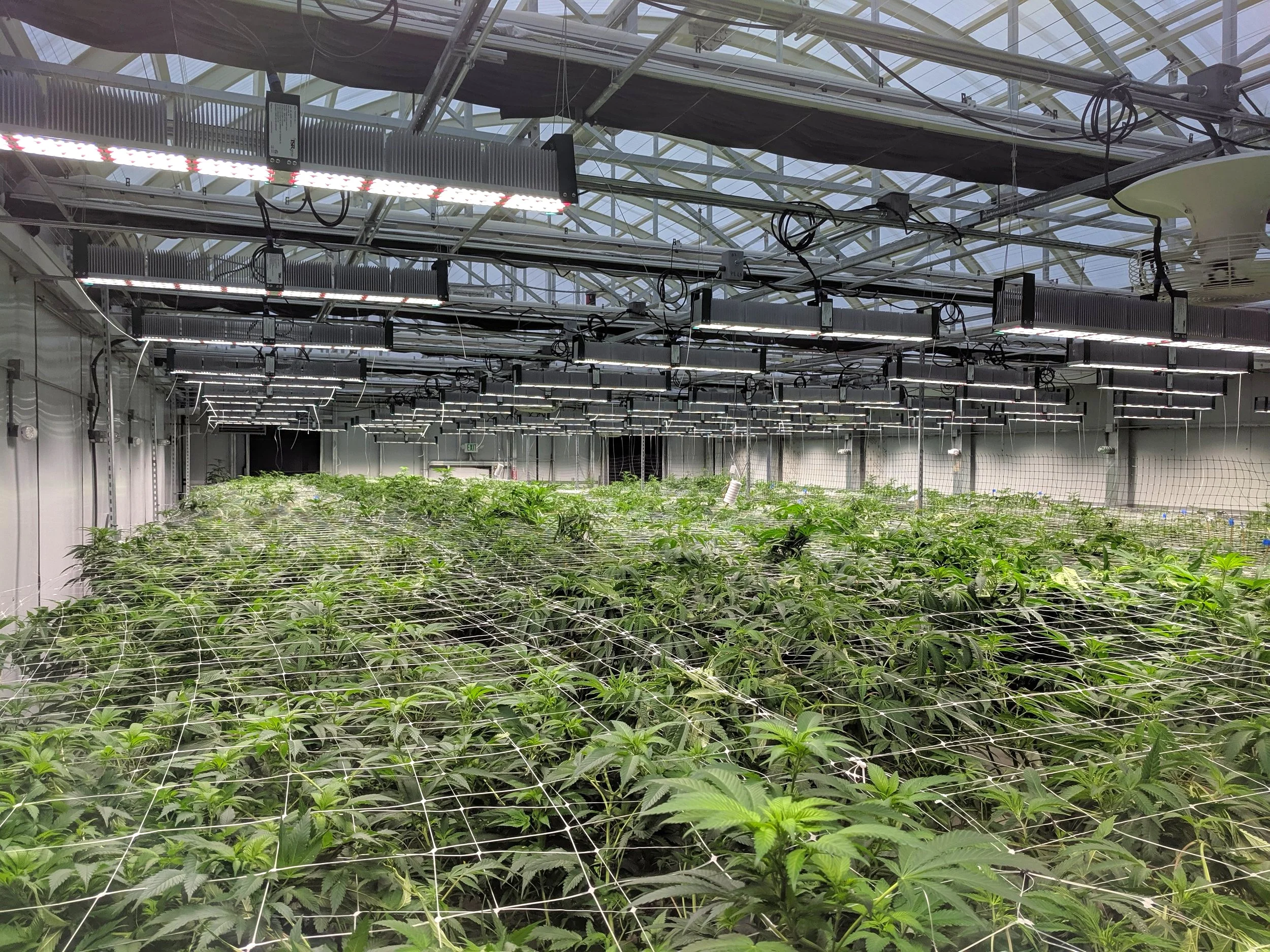 ArchSolar-Flower-Bay.jpg