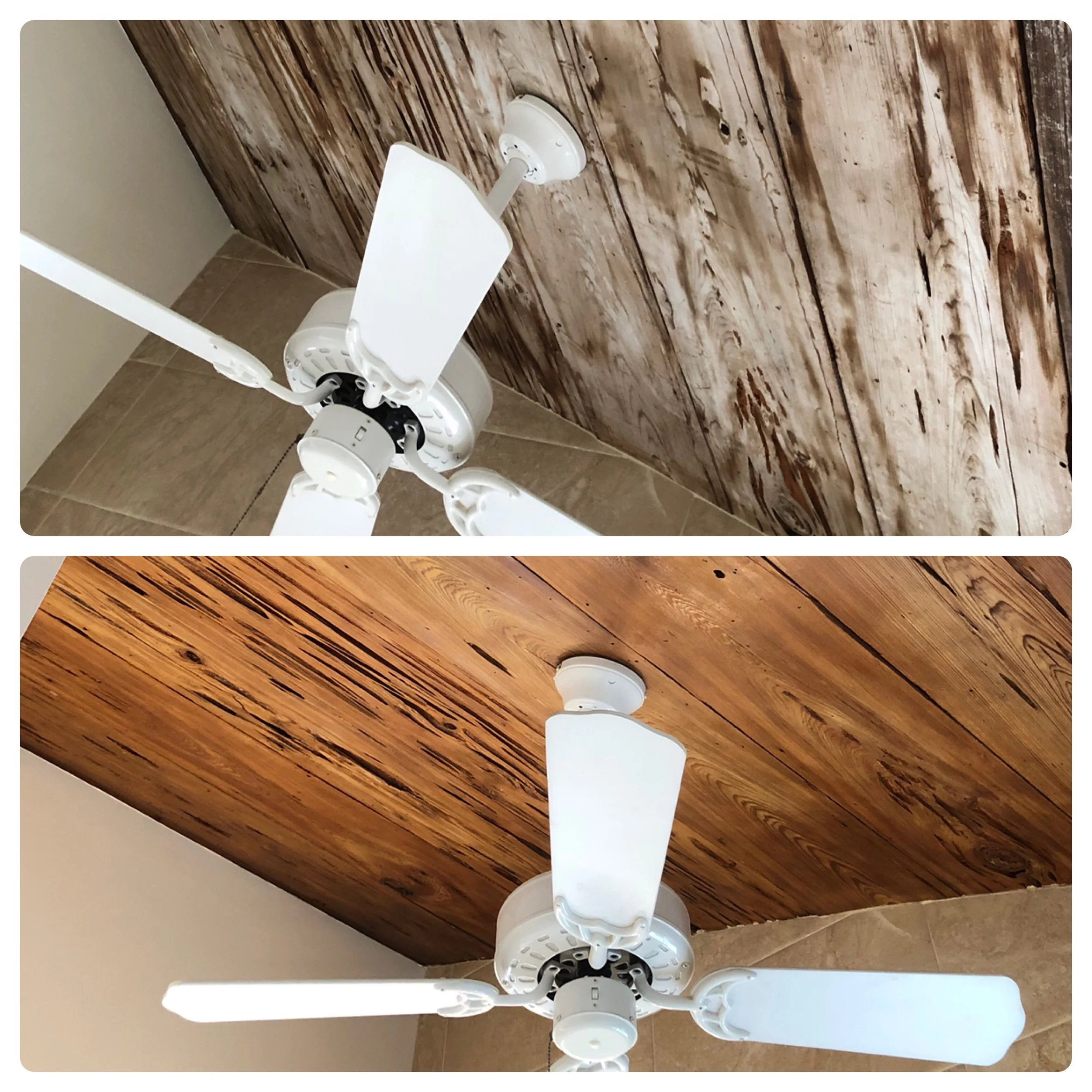 Front door restoration.